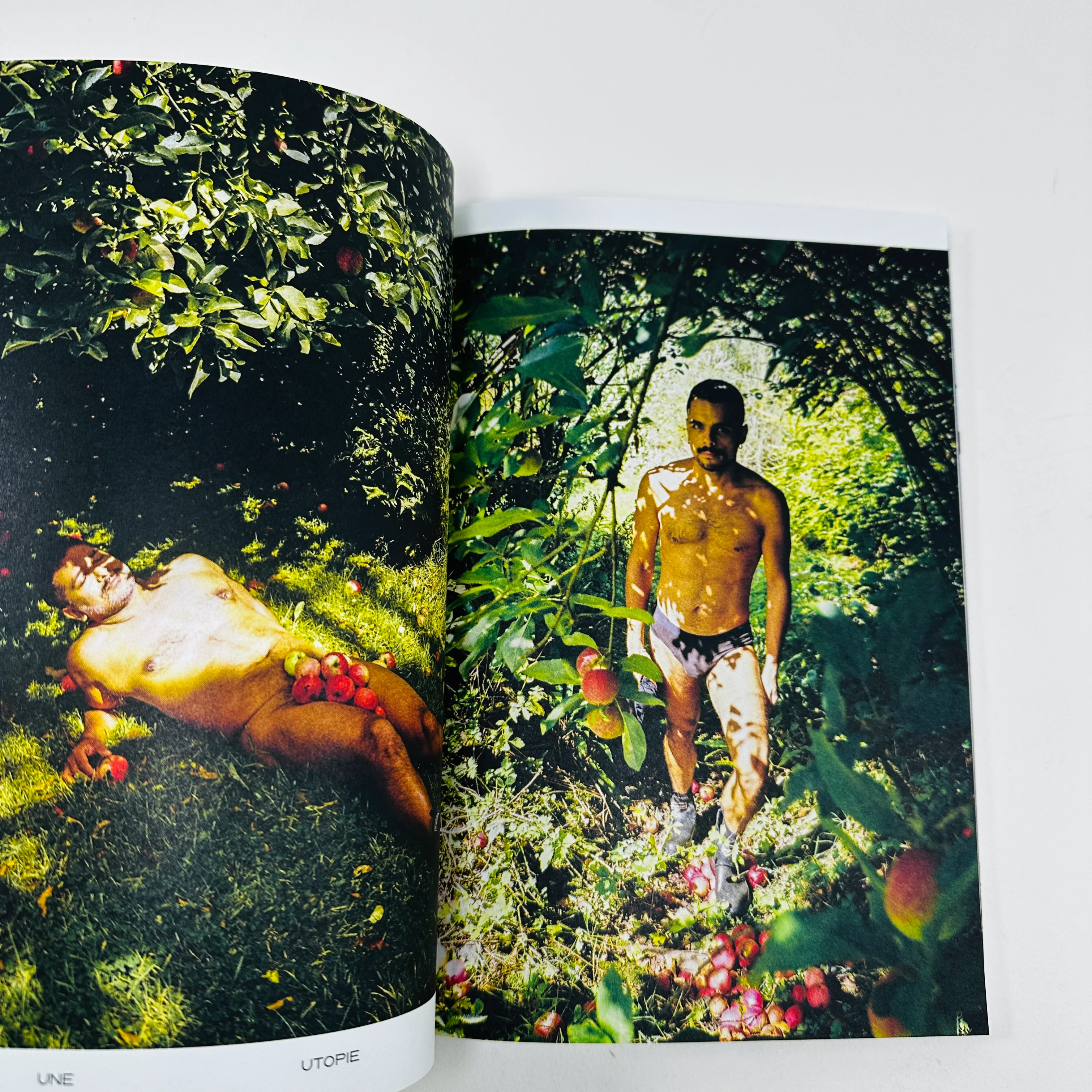 Fay Magazine #2 - Image 5