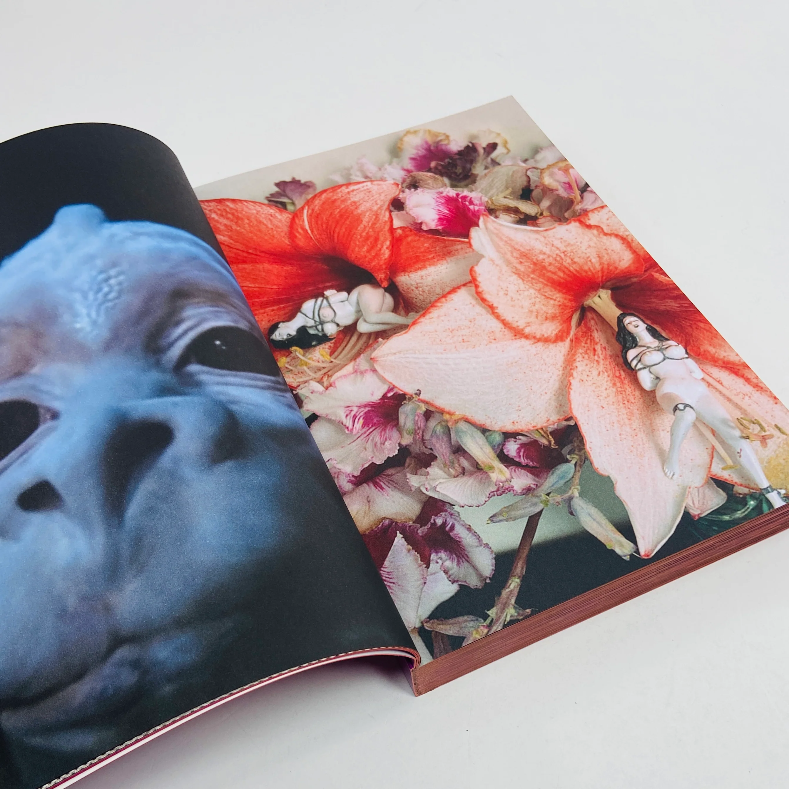 Flowers of Romance - Image 6