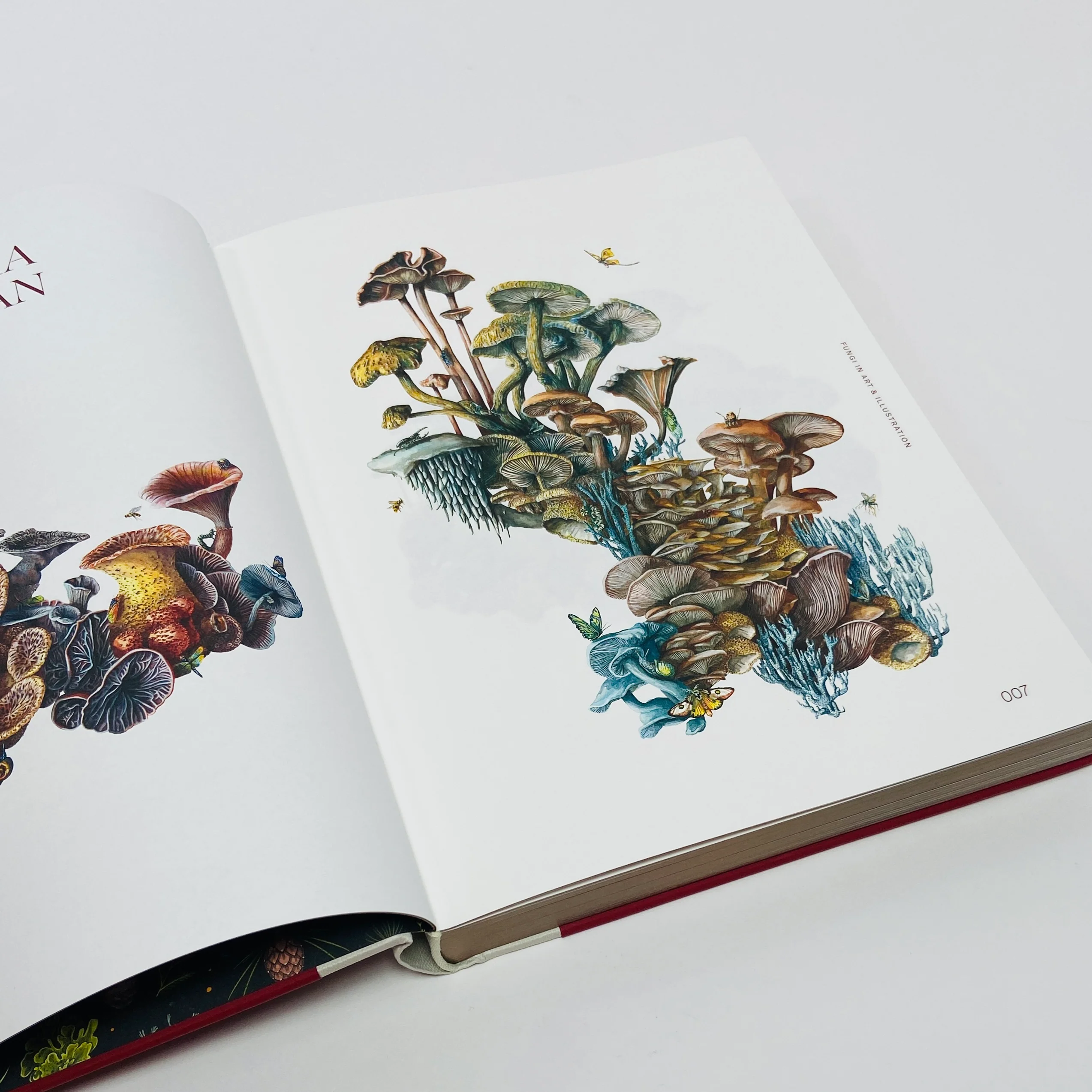 Fungal Inspiration - Art and Design Inspired by Wild Nature - Image 4