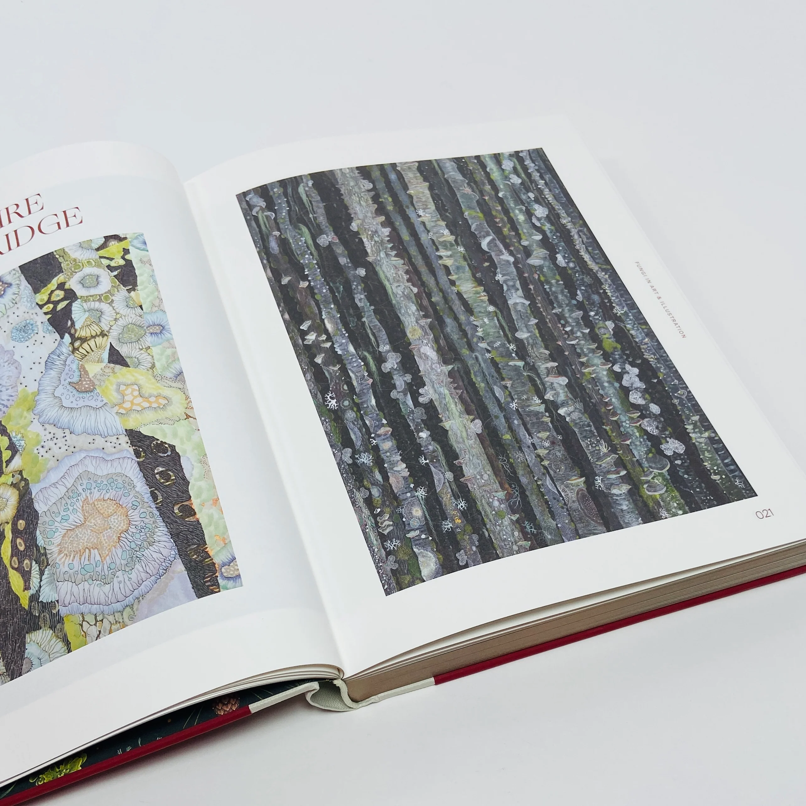 Fungal Inspiration - Art and Design Inspired by Wild Nature - Image 5