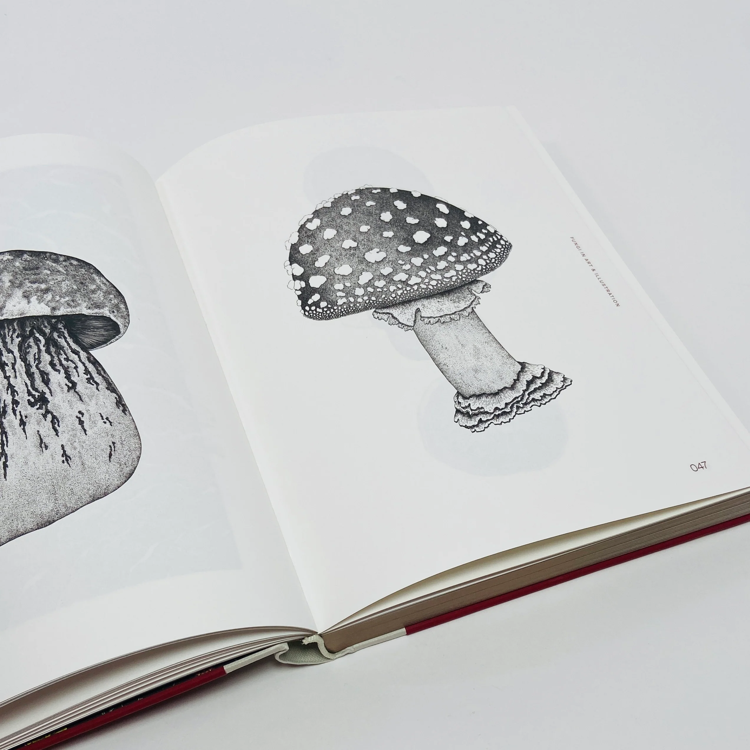 Fungal Inspiration - Art and Design Inspired by Wild Nature - Image 7