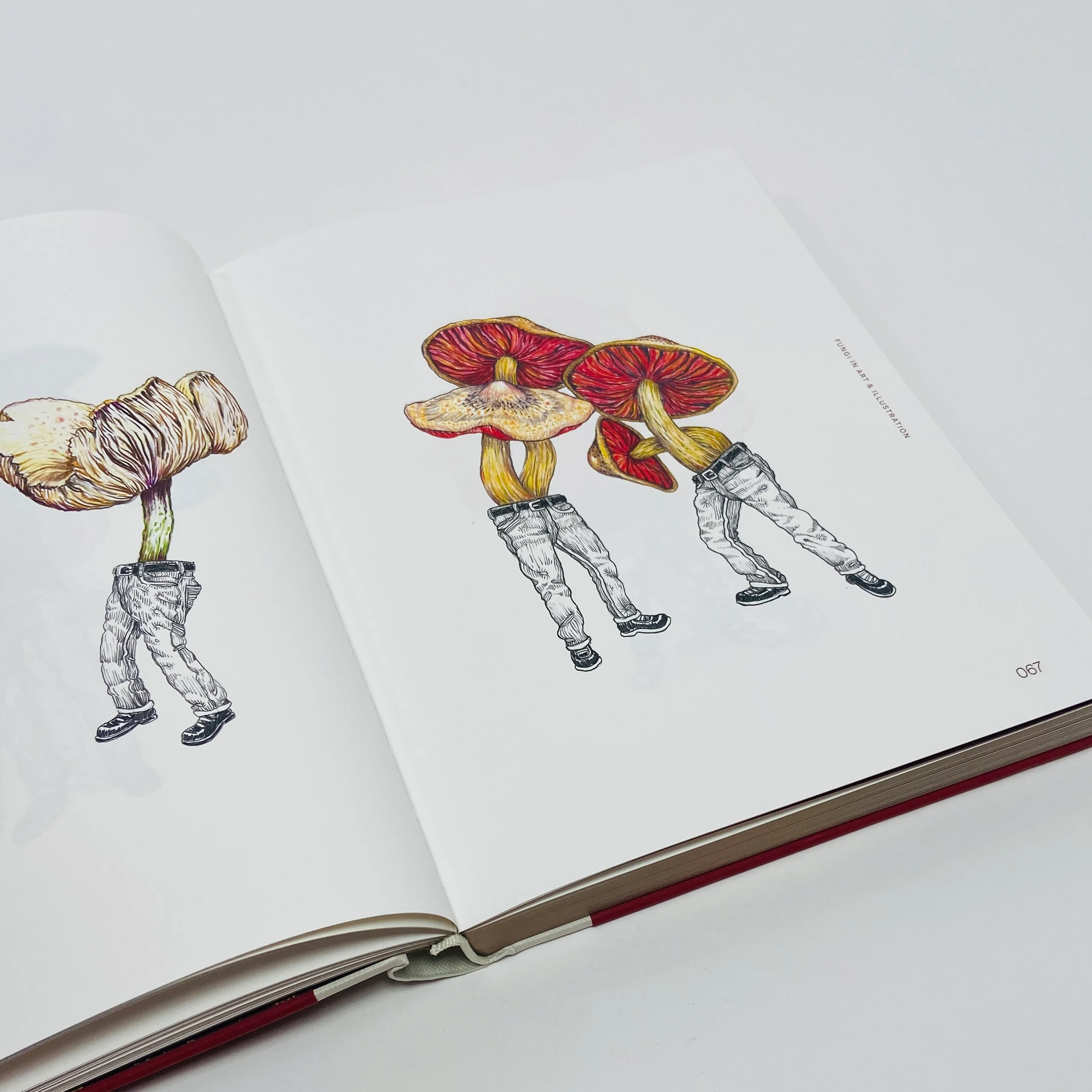 Fungal Inspiration - Art and Design Inspired by Wild Nature - Image 8