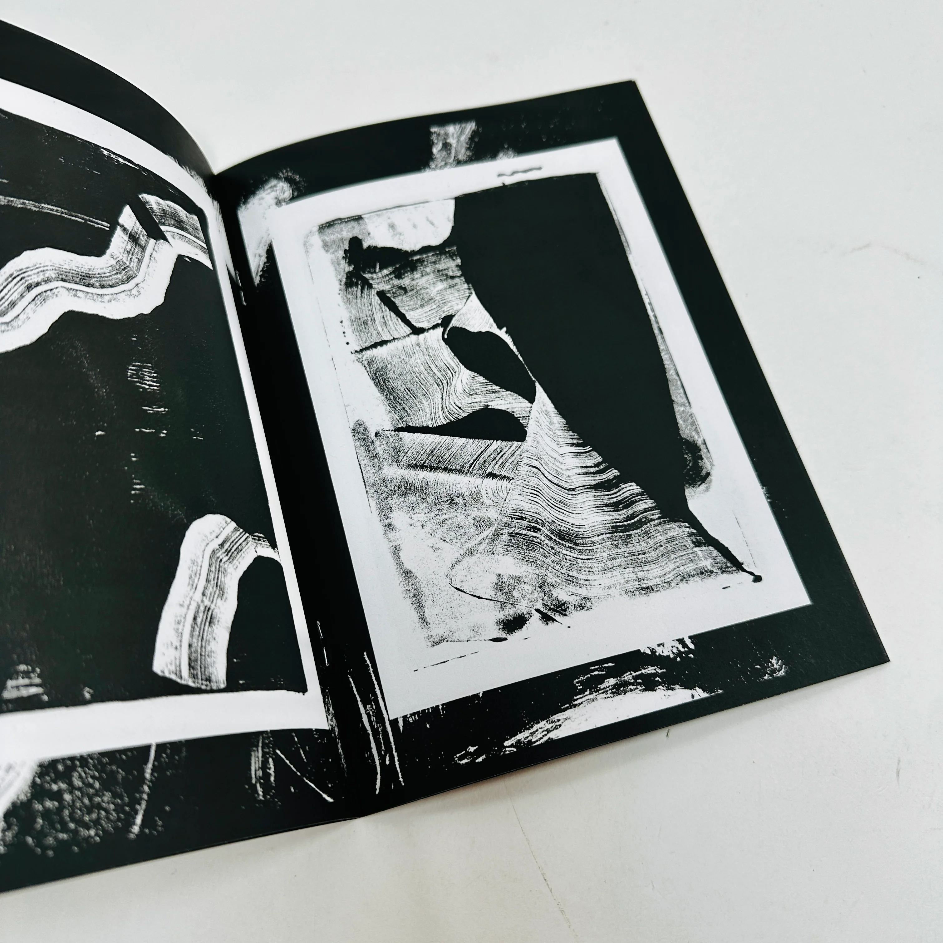 Monochrome Monoprints - Image 4