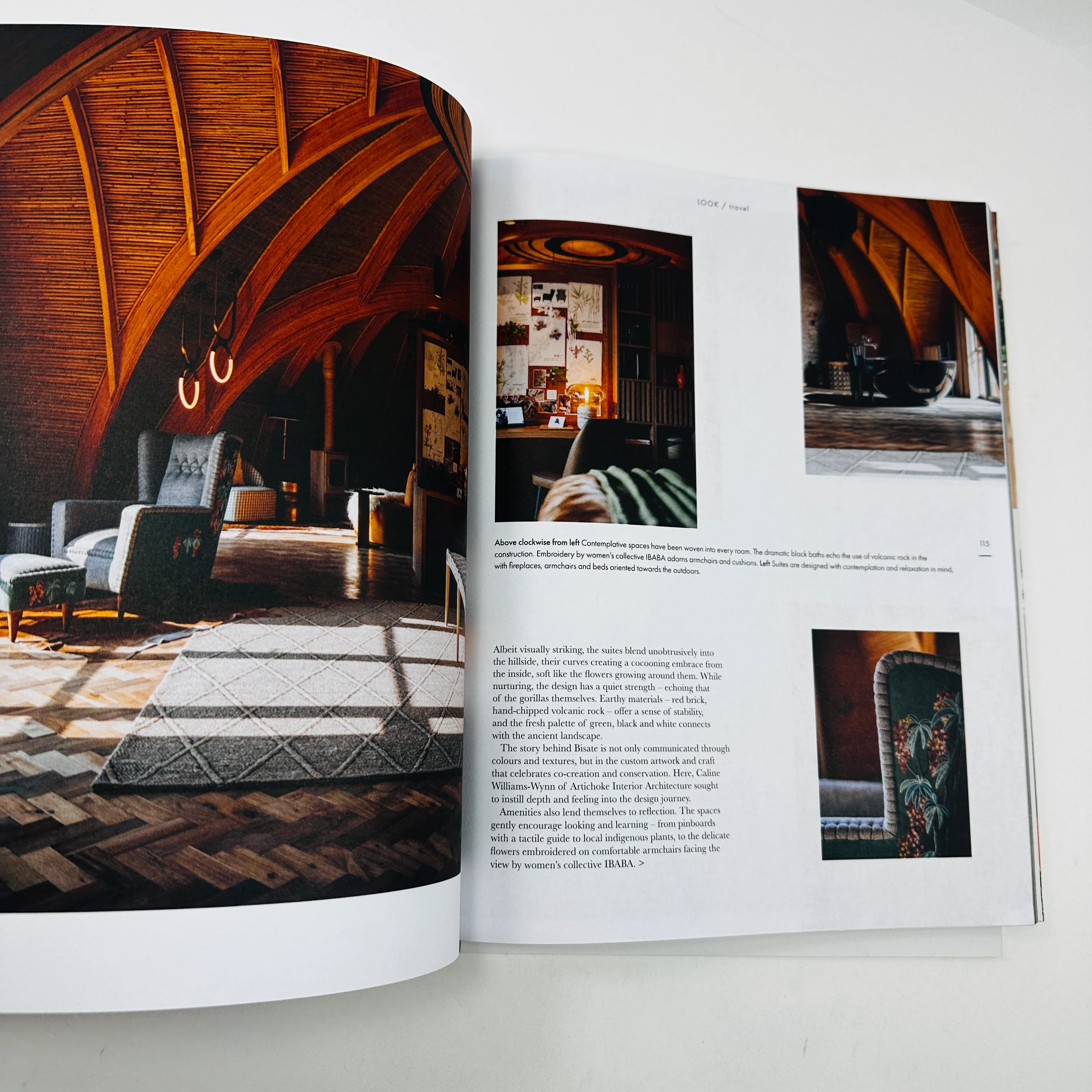 House & Leisure #17 - The Dog Paper - Image 6