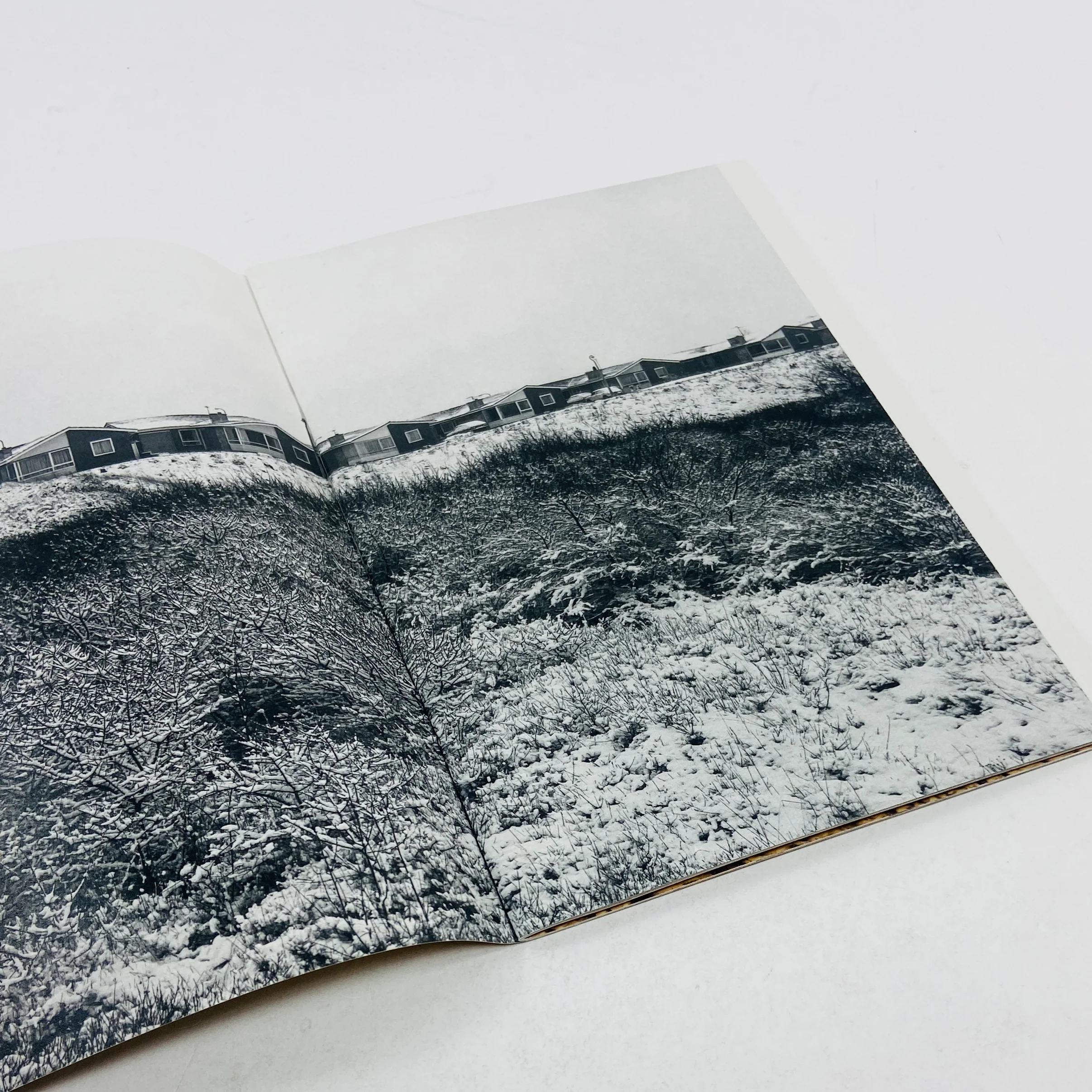 Housing Estates #5 - Stephen McCoy (Signed Copy) - Image 3