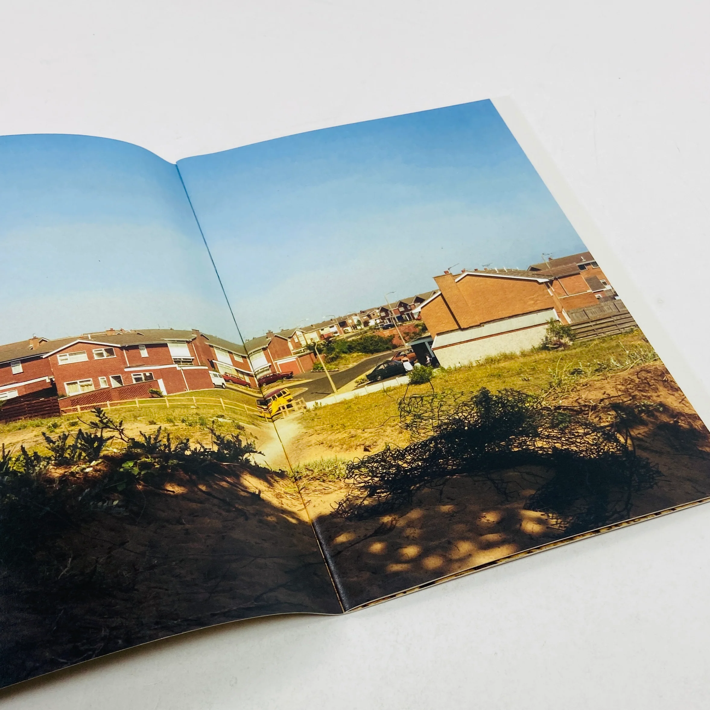 Housing Estates #5 - Stephen McCoy (Signed Copy) - Image 4
