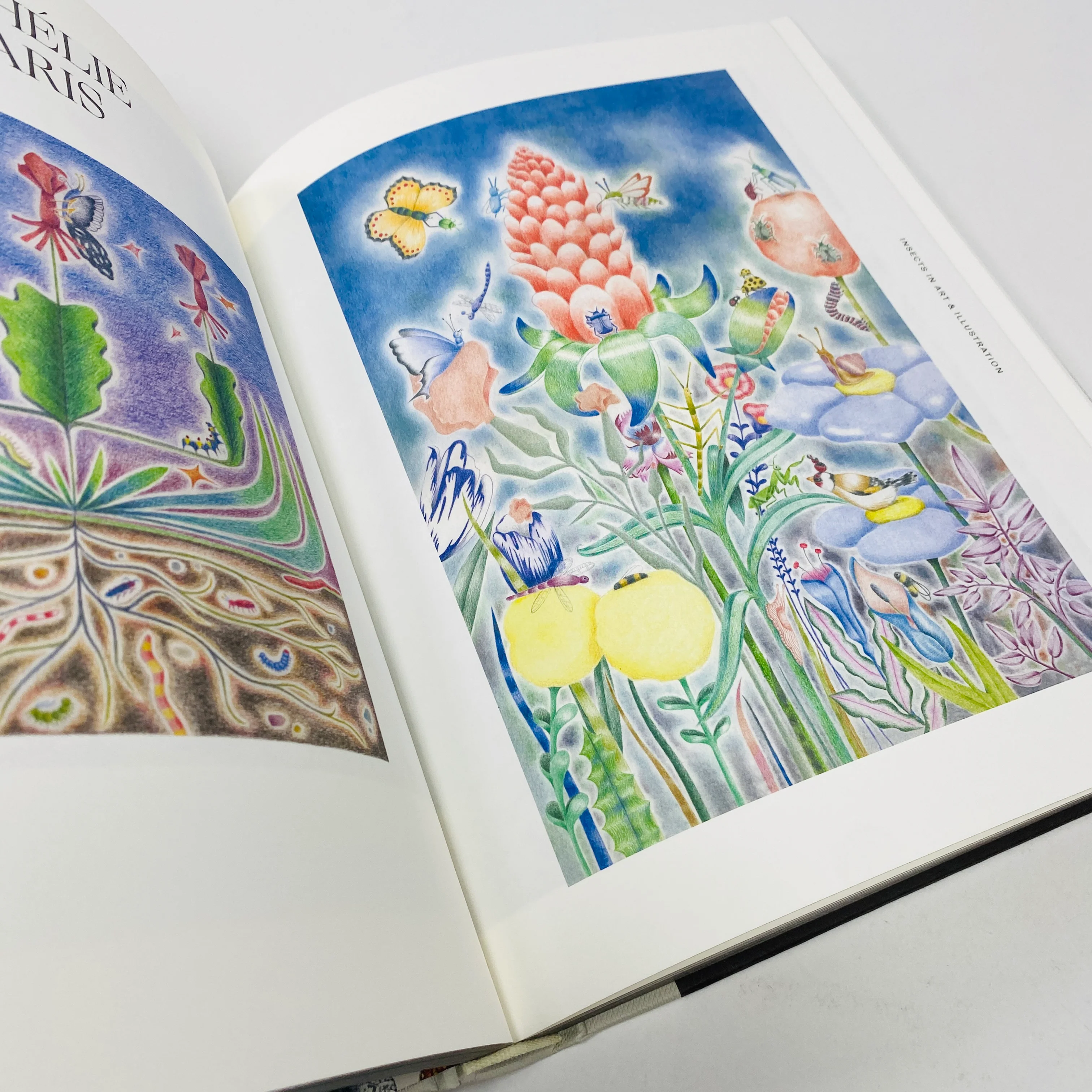 Insectile Inspiration - Insects in Art and Illustration - Image 3