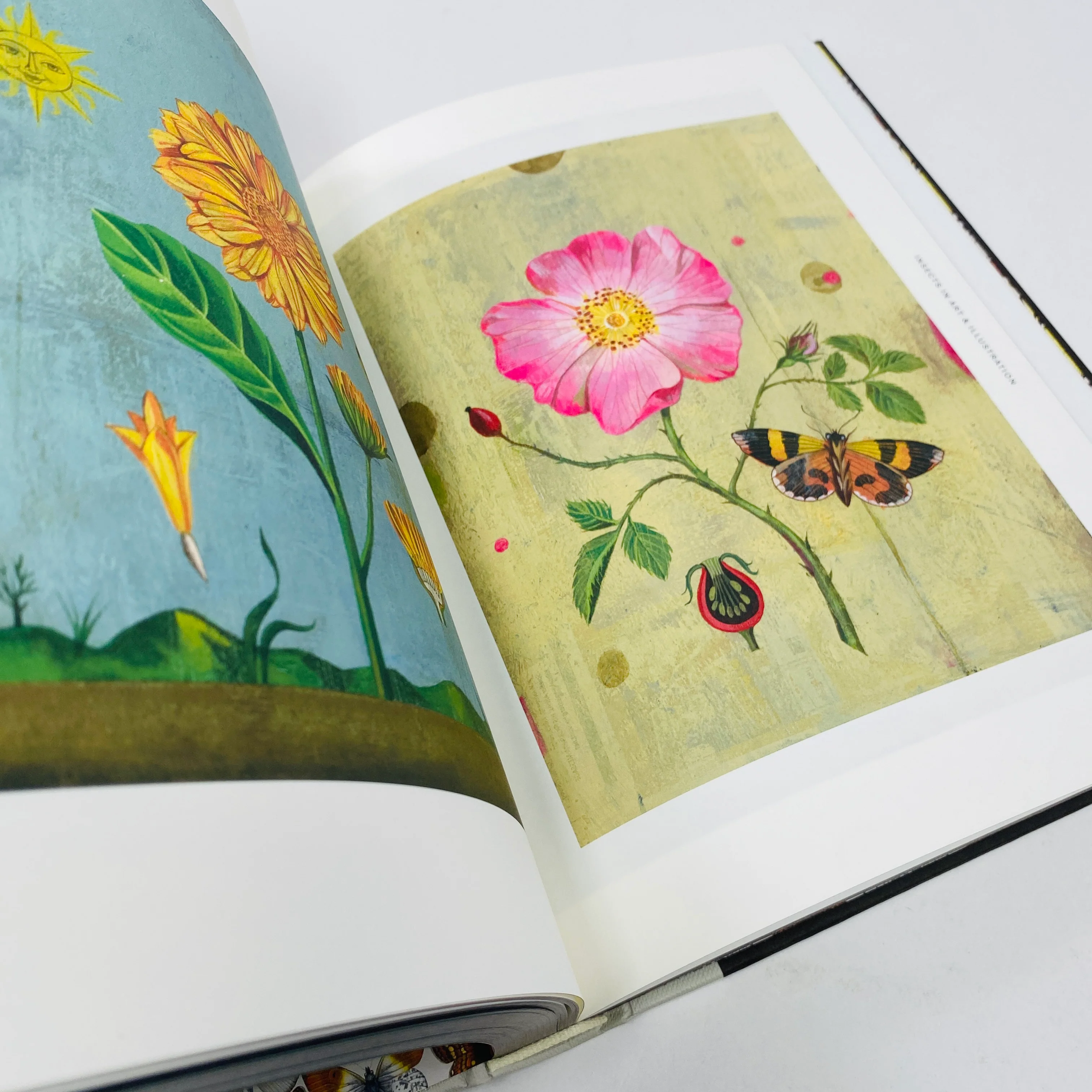 Insectile Inspiration - Insects in Art and Illustration - Image 5