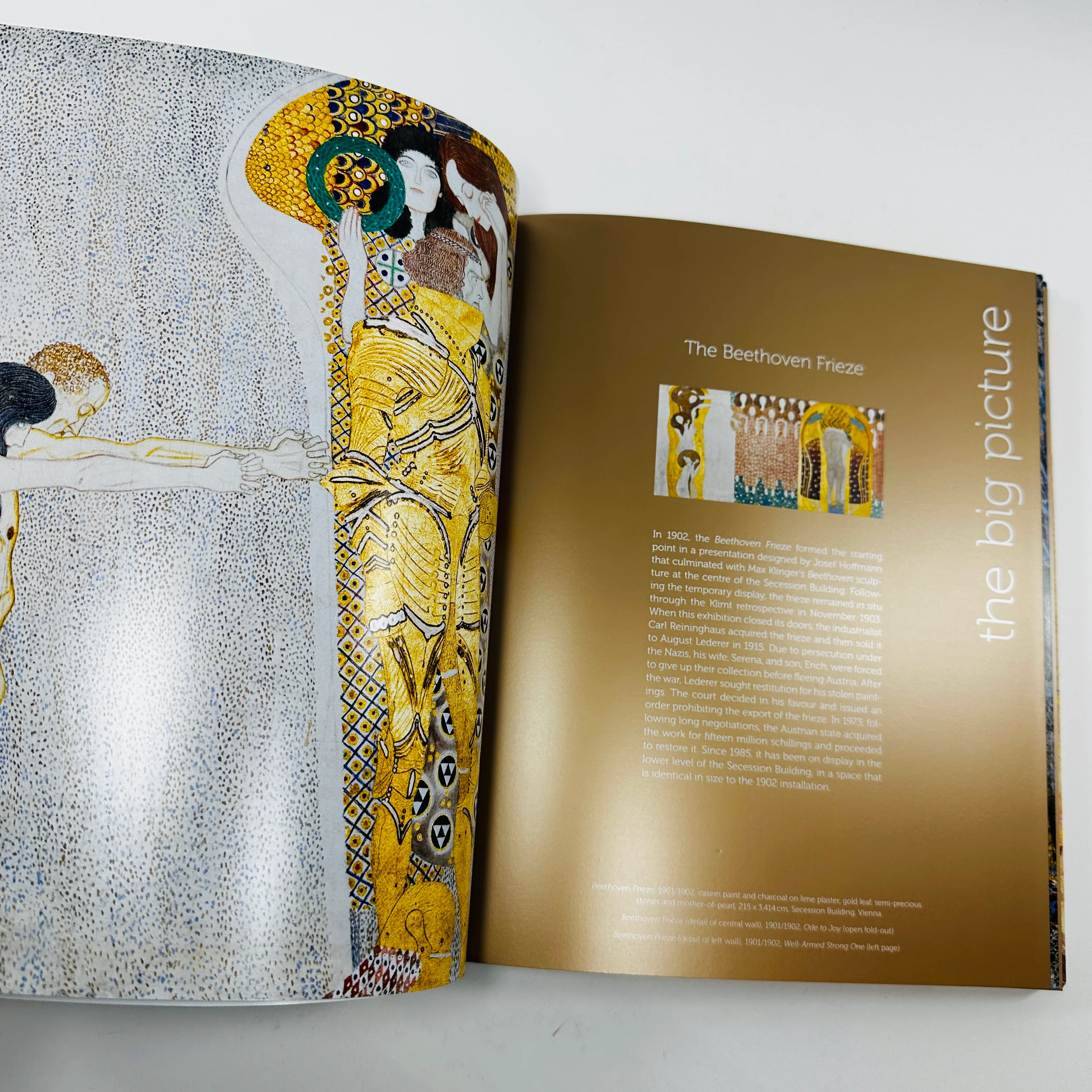 Klimt - The Bigger Picture - Image 5