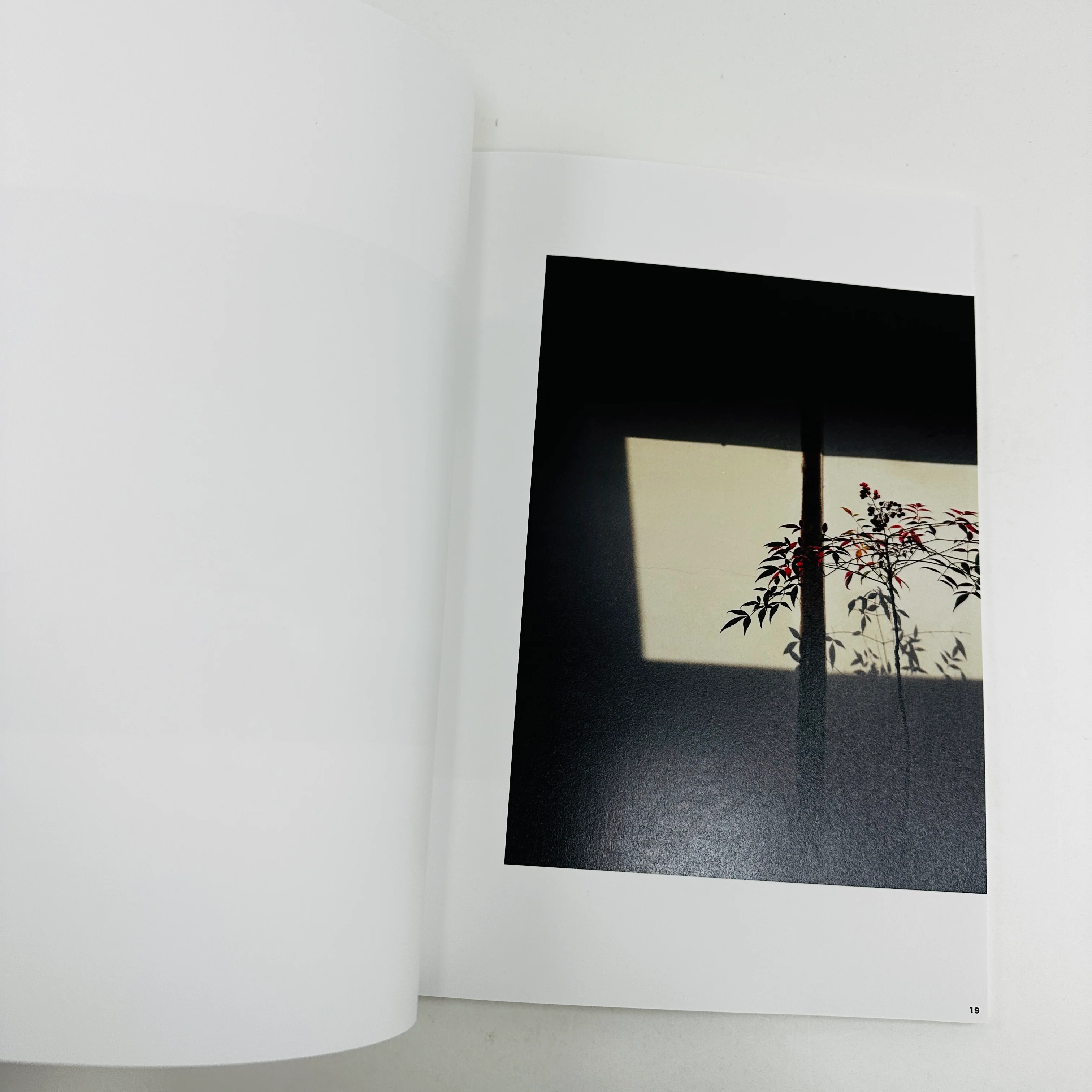 Kyoto Alone - Image 4