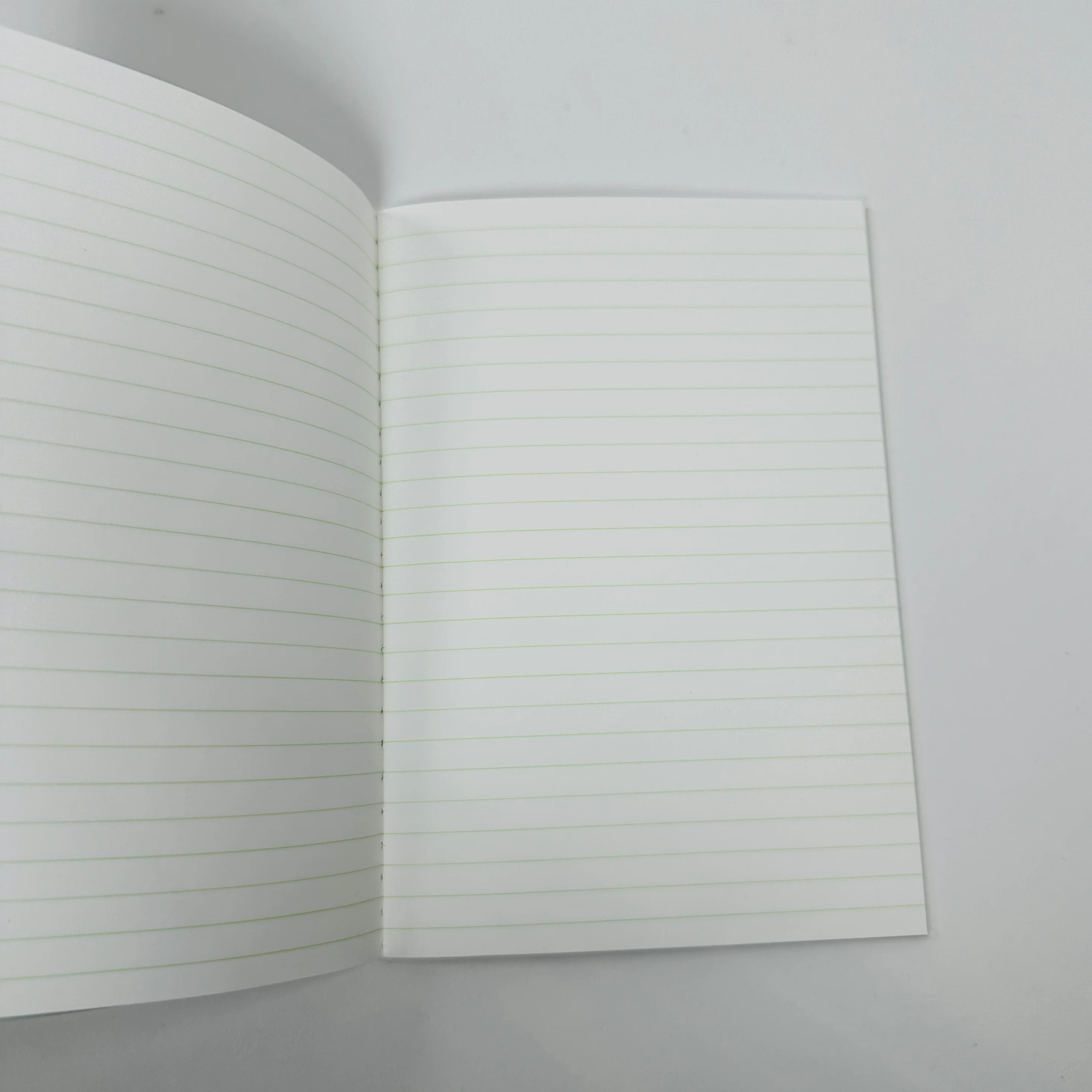 Life Pistachio N78 Notebook B6 Lined - Image 3