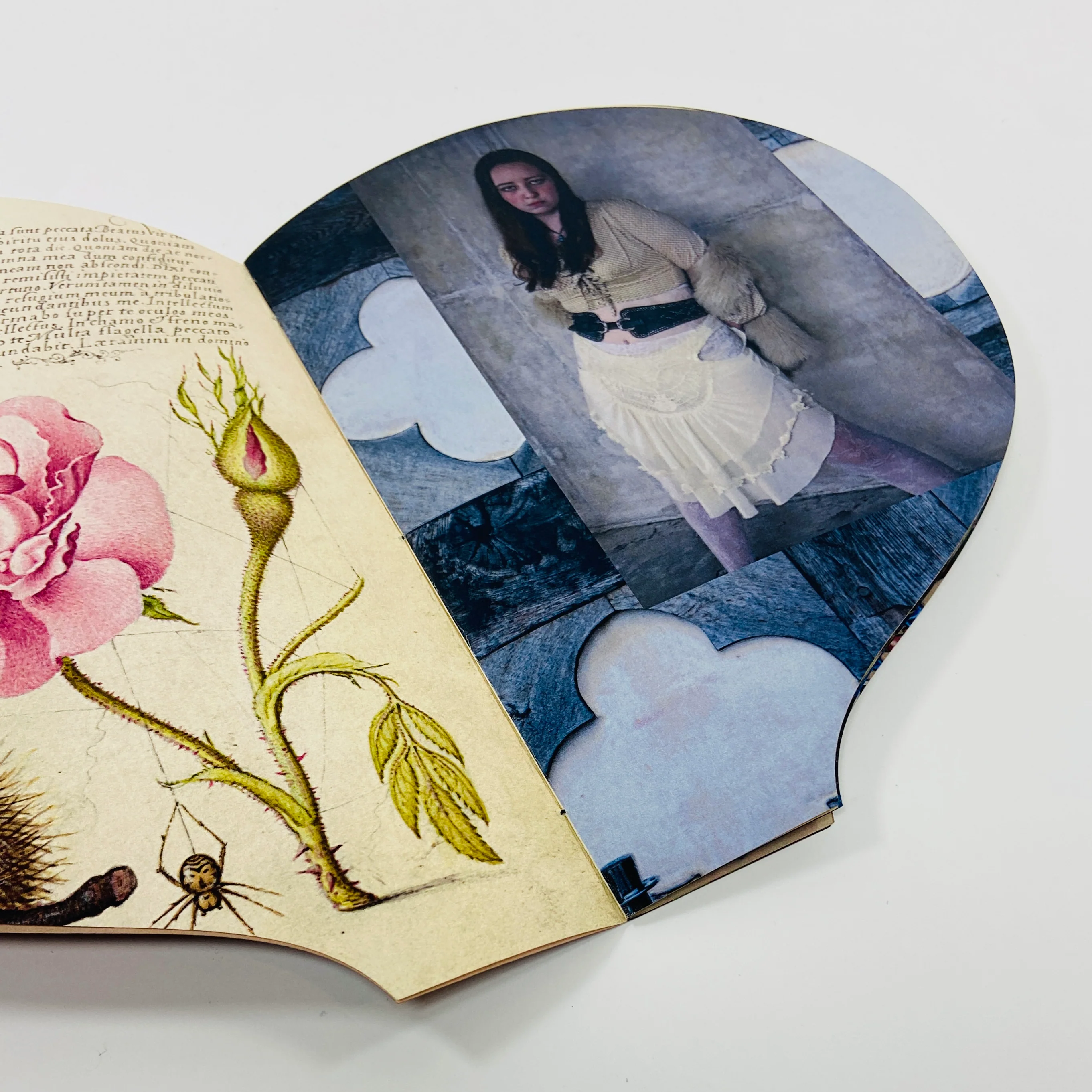 Lionheart - Kezia Warrilow - Image 4