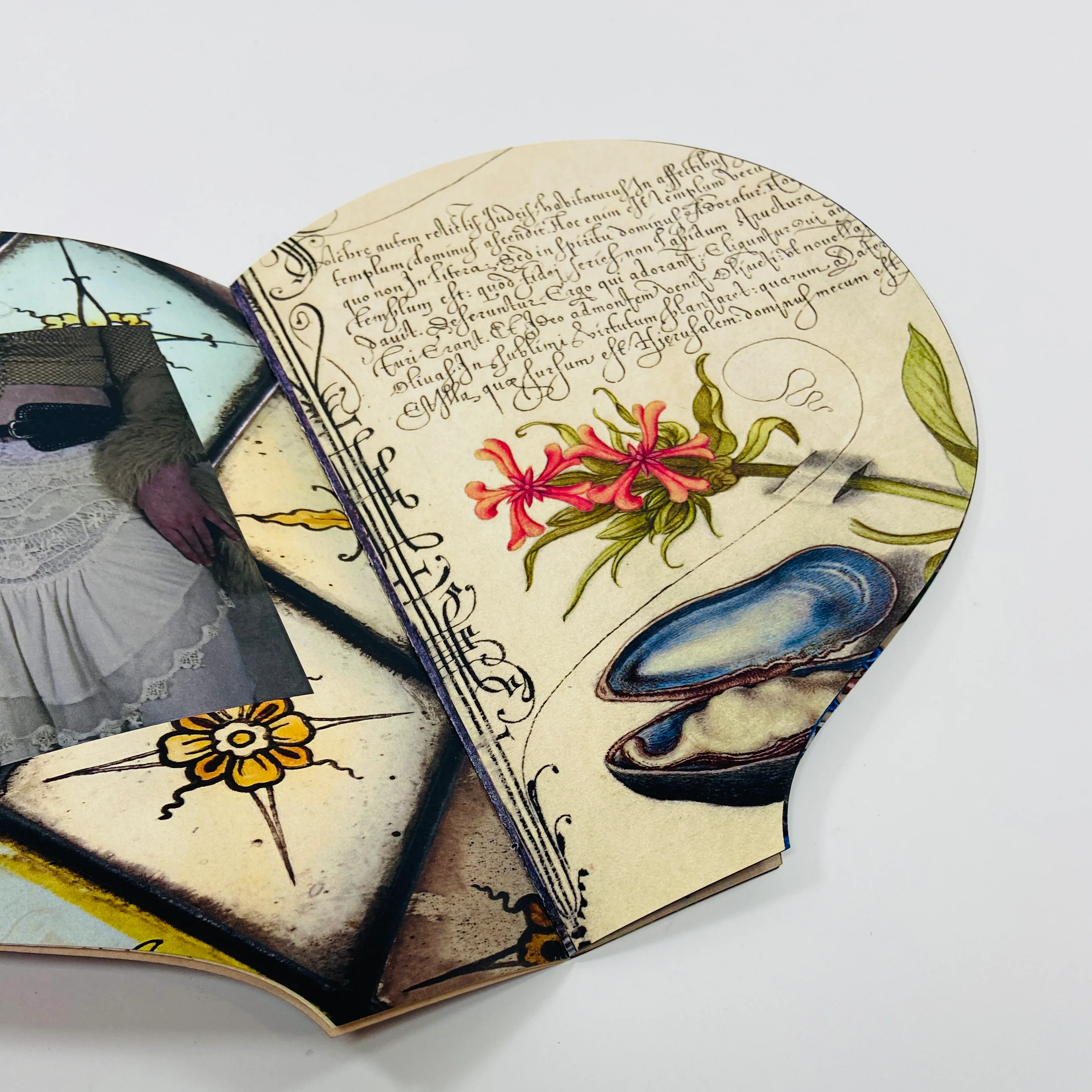 Lionheart - Kezia Warrilow - Image 5