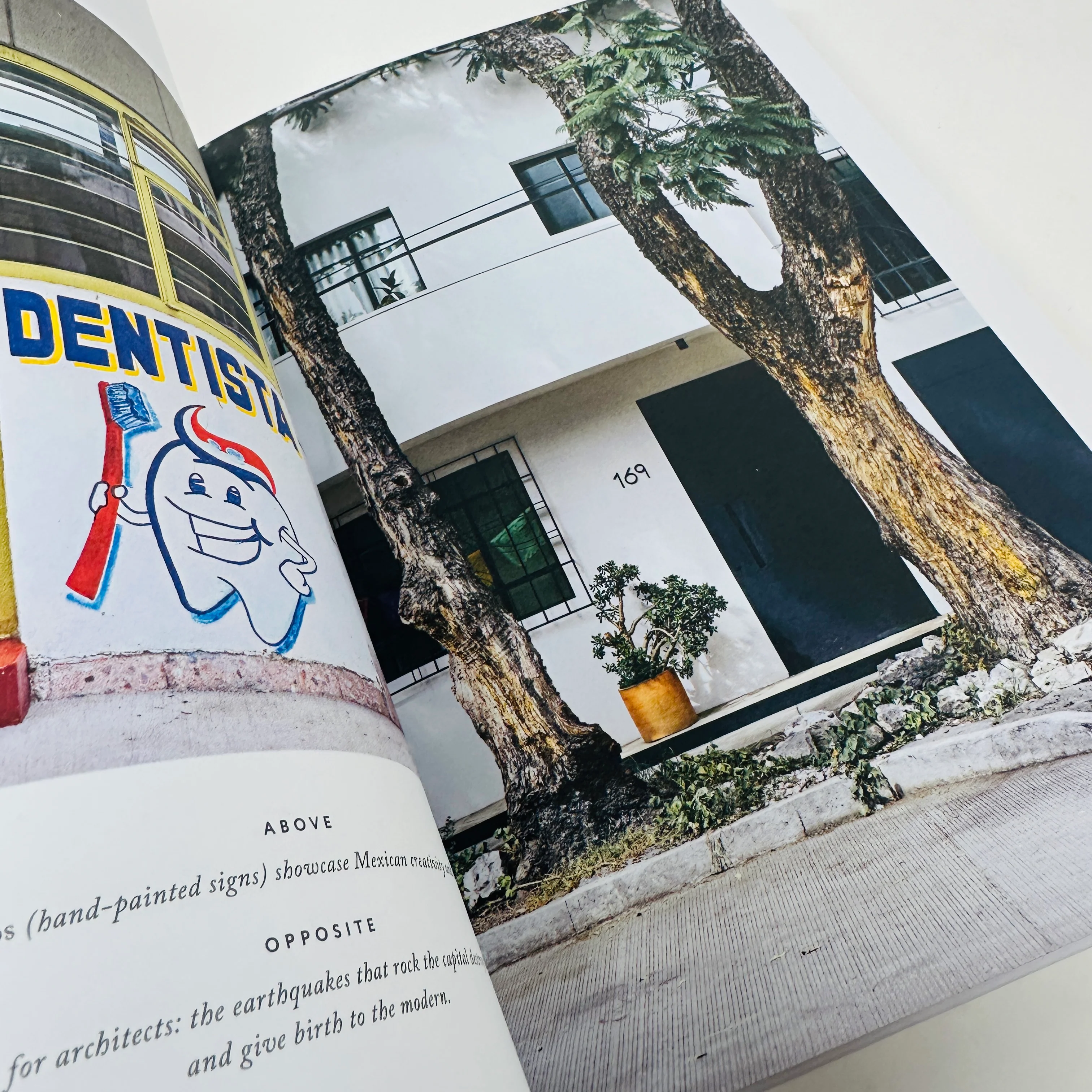 Mexico City - The Extraordinary Guide: An Insider Tour of Art, Food, and Culture - Image 3