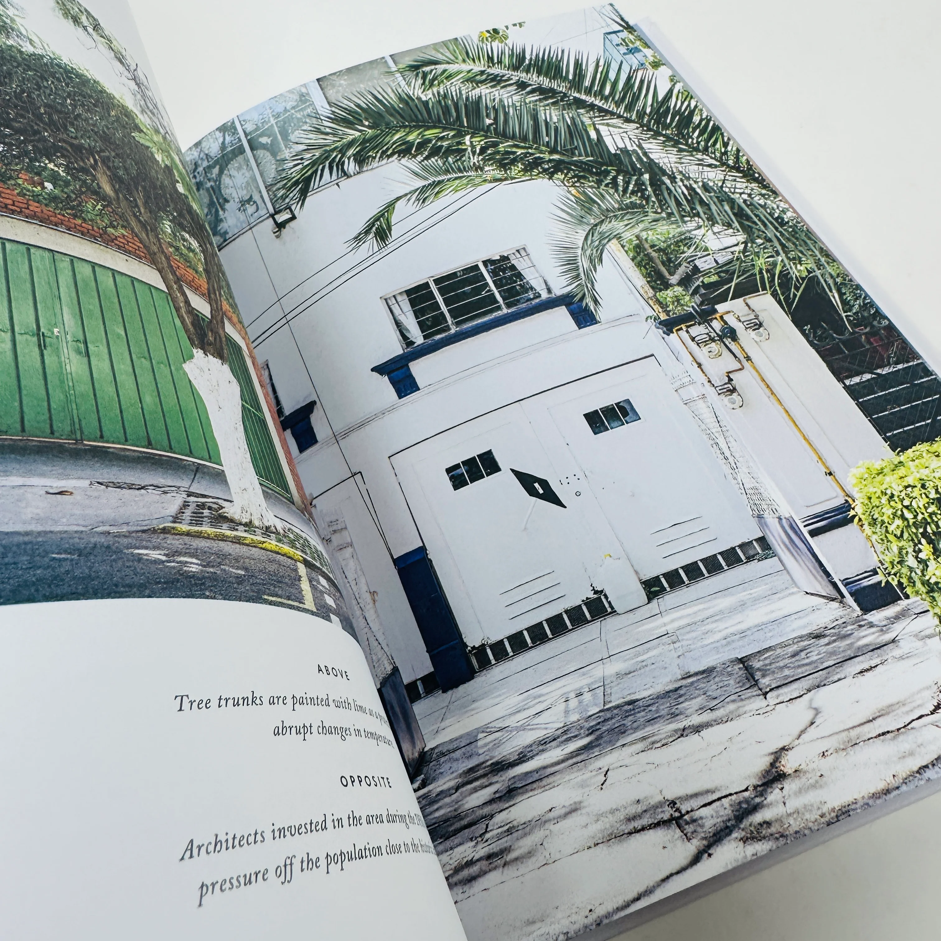 Mexico City - The Extraordinary Guide: An Insider Tour of Art, Food, and Culture - Image 5