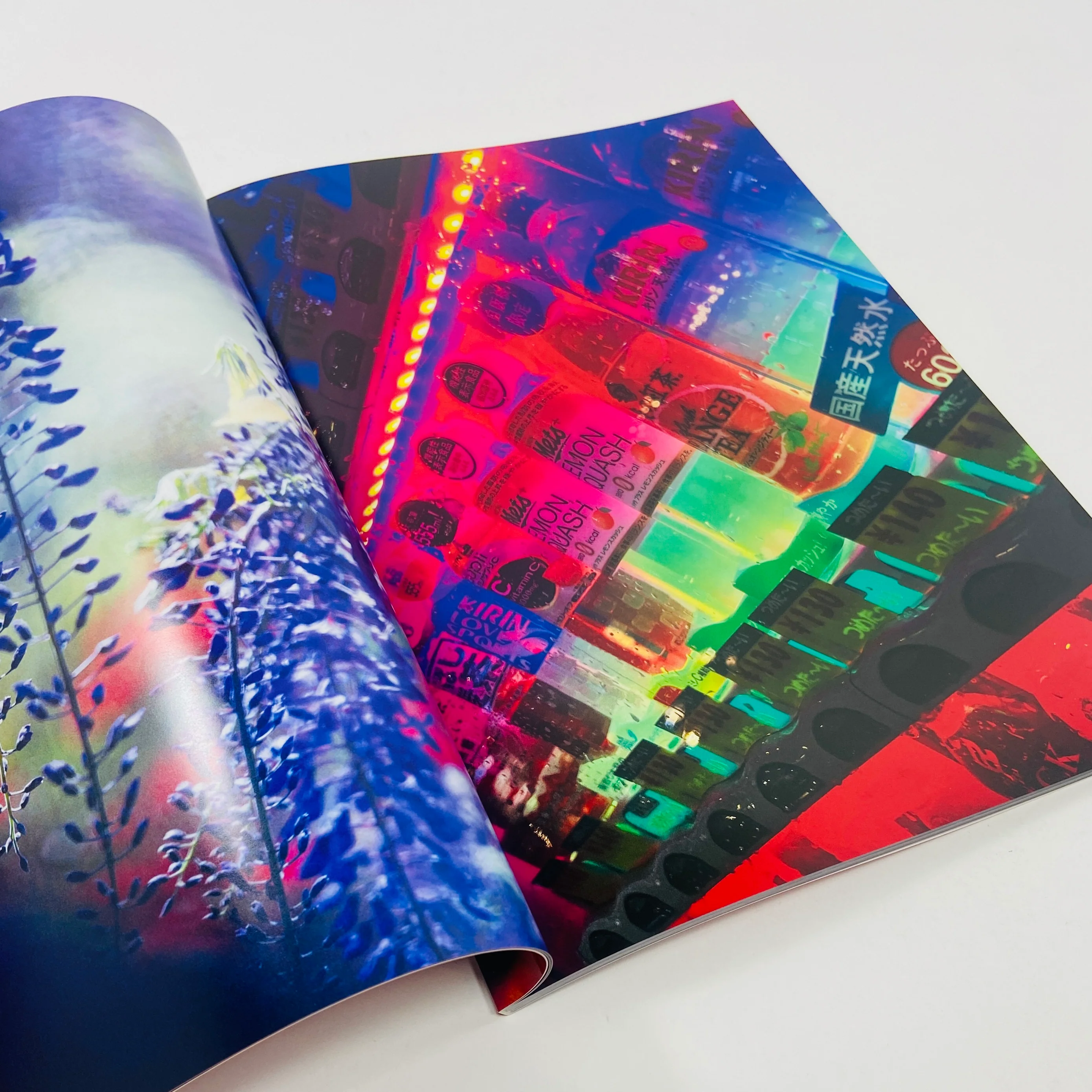 Mika Ninagawa – Eternity in a Moment #2 - Image 3