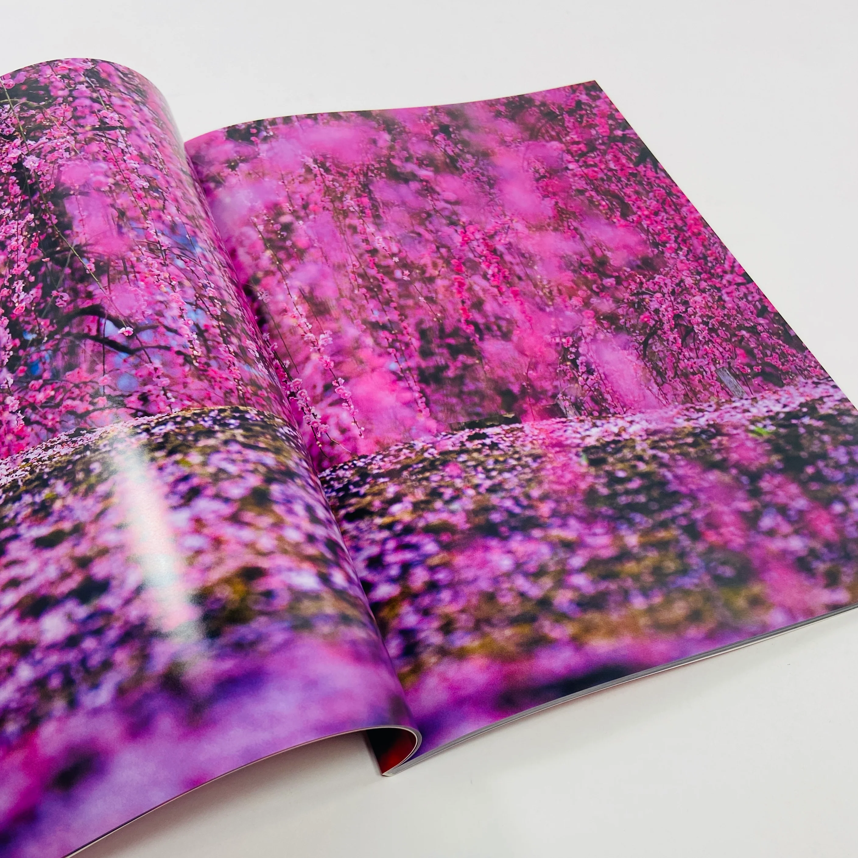Mika Ninagawa – Eternity in a Moment #2 - Image 4