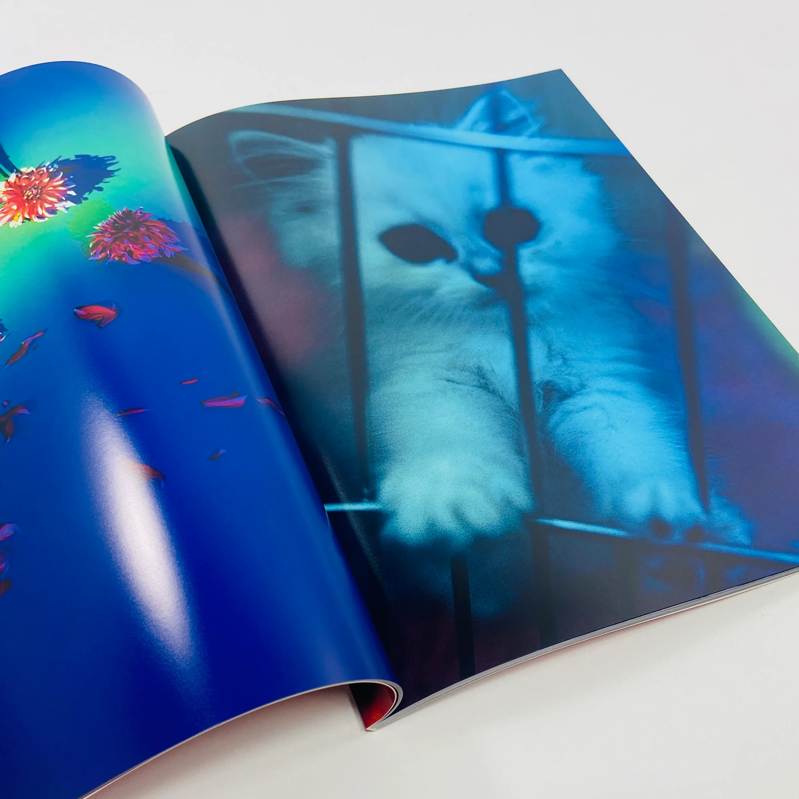 Mika Ninagawa – Eternity in a Moment #2 - Image 5