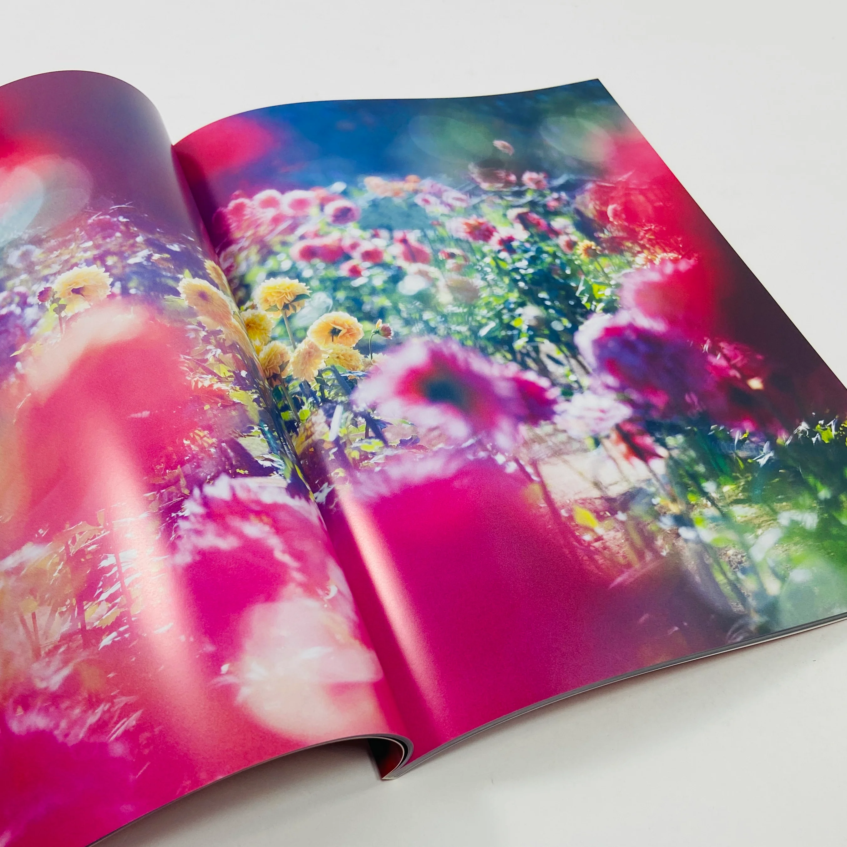 Mika Ninagawa – Eternity in a Moment #2 - Image 6