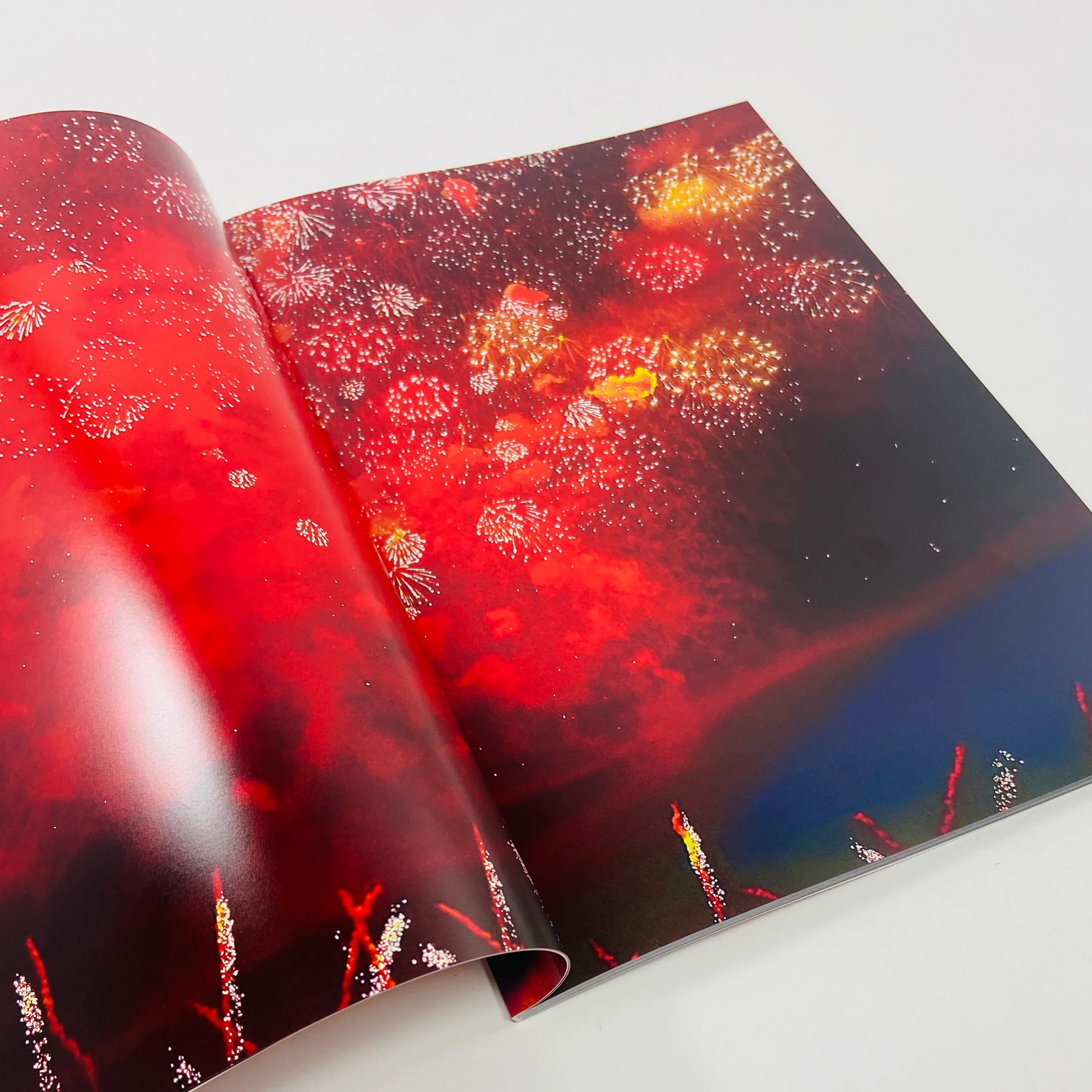 Mika Ninagawa – Eternity in a Moment #2 - Image 7