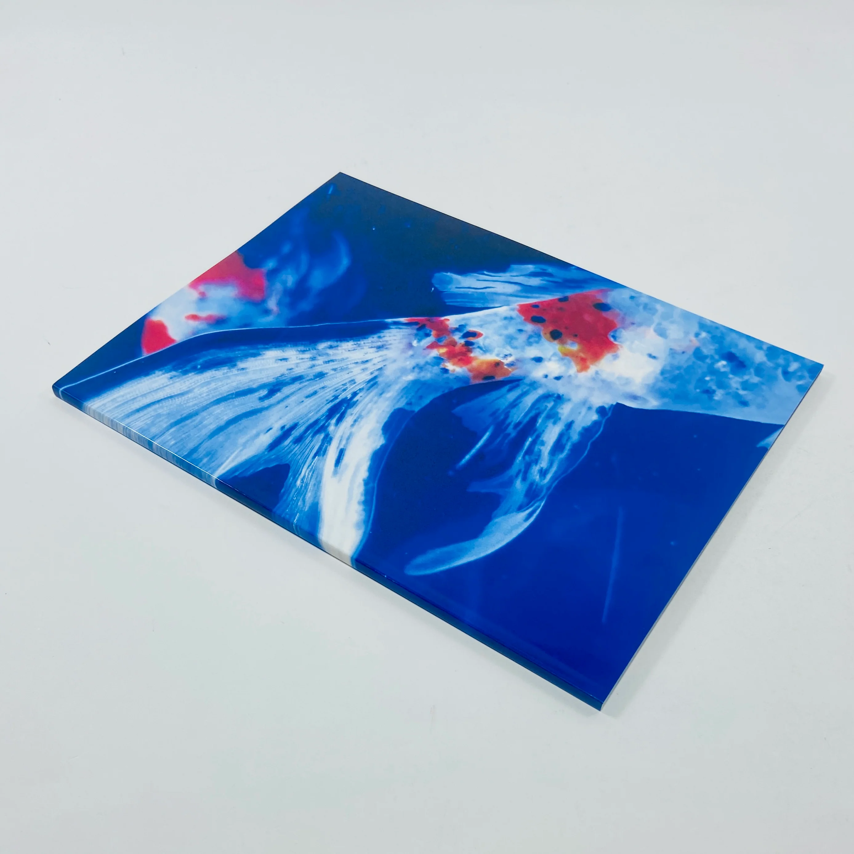Mika Ninagawa – Eternity in a Moment #3 - Image 2