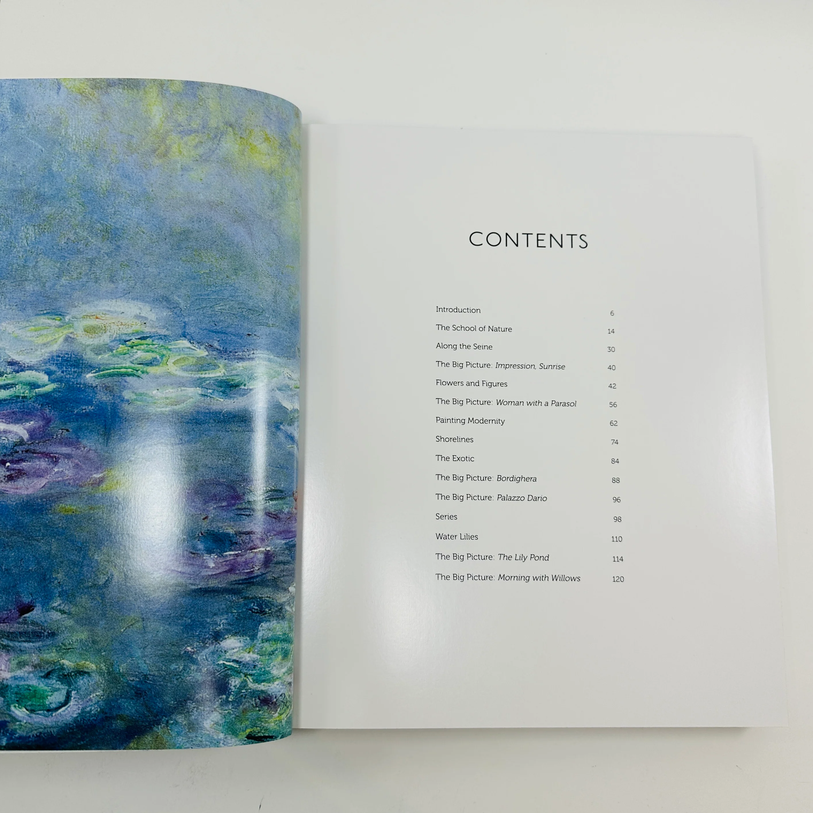 Monet - The Bigger Picture - Image 3