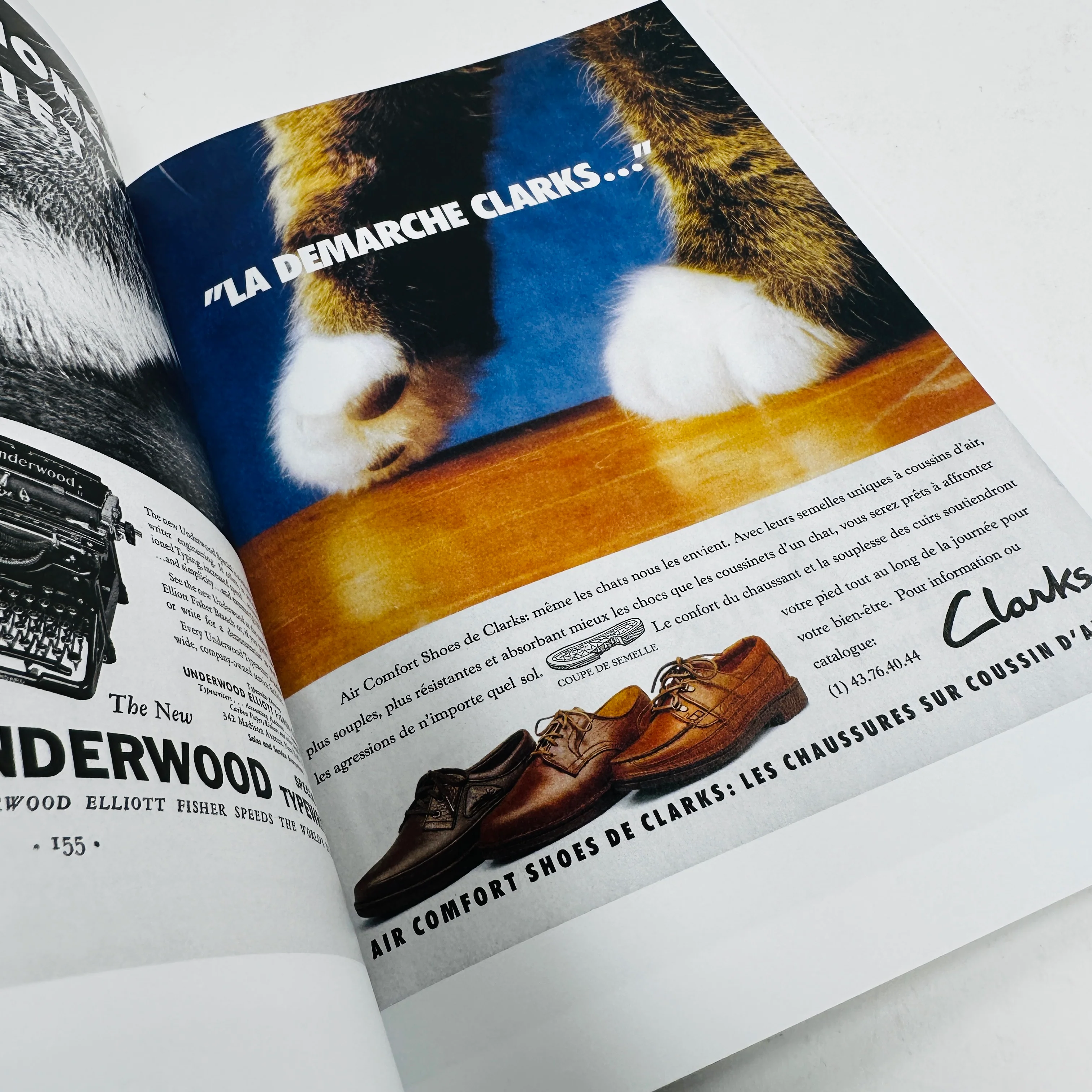 More Than Cat Food - Alberto Vieceli - Image 3