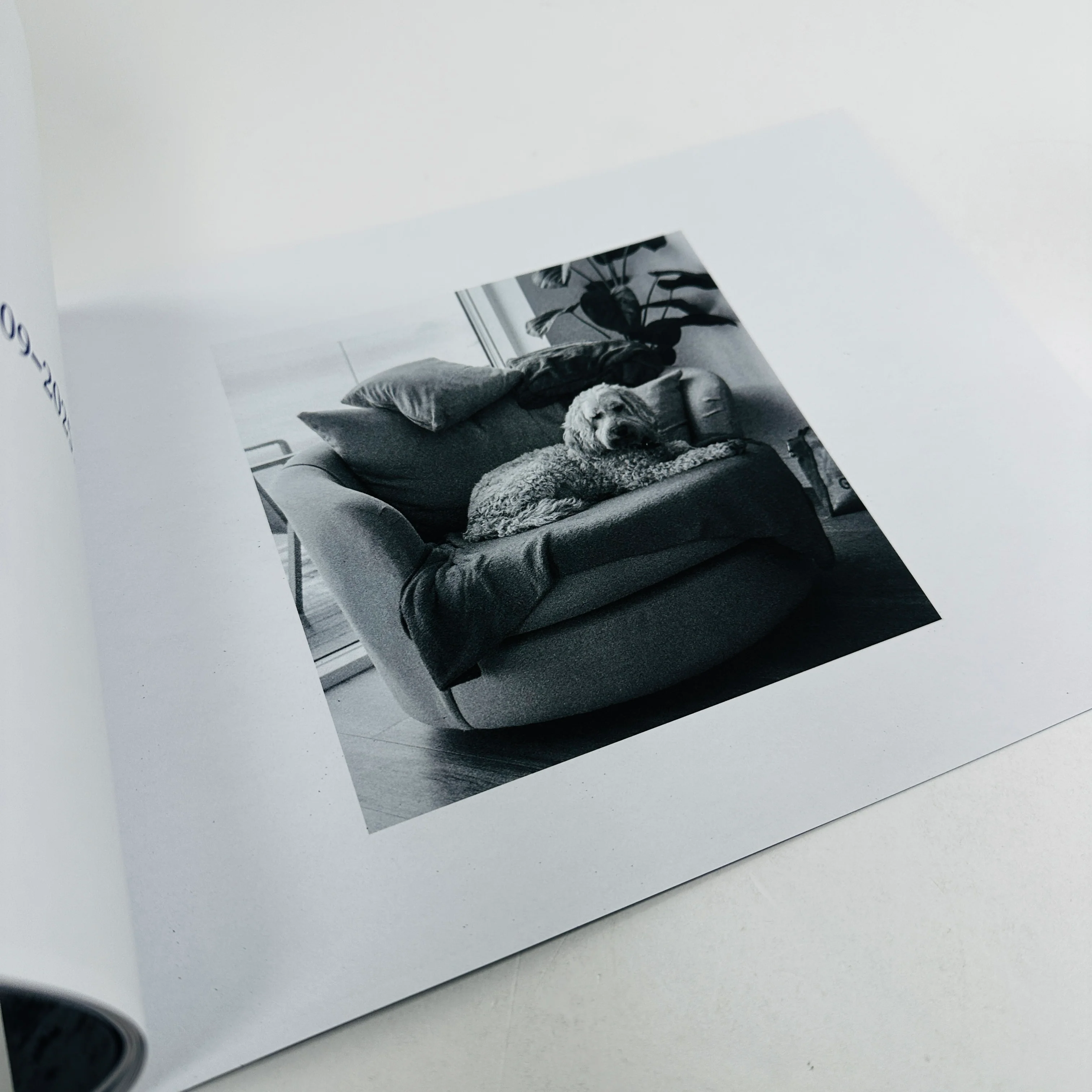 MorMor - Jack McKenna - Image 3