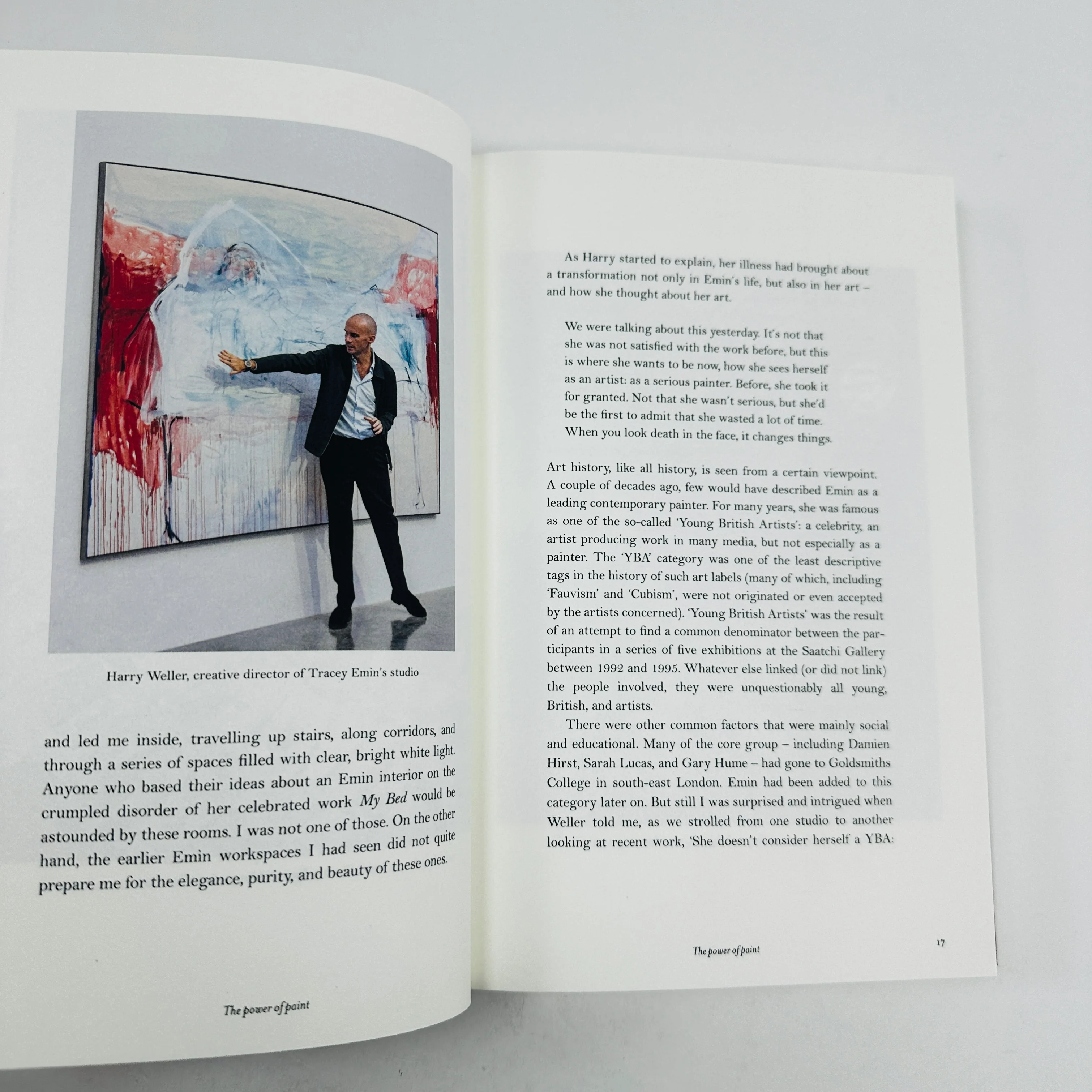 My Heart is This - Tracey Emin on Painting - Image 3