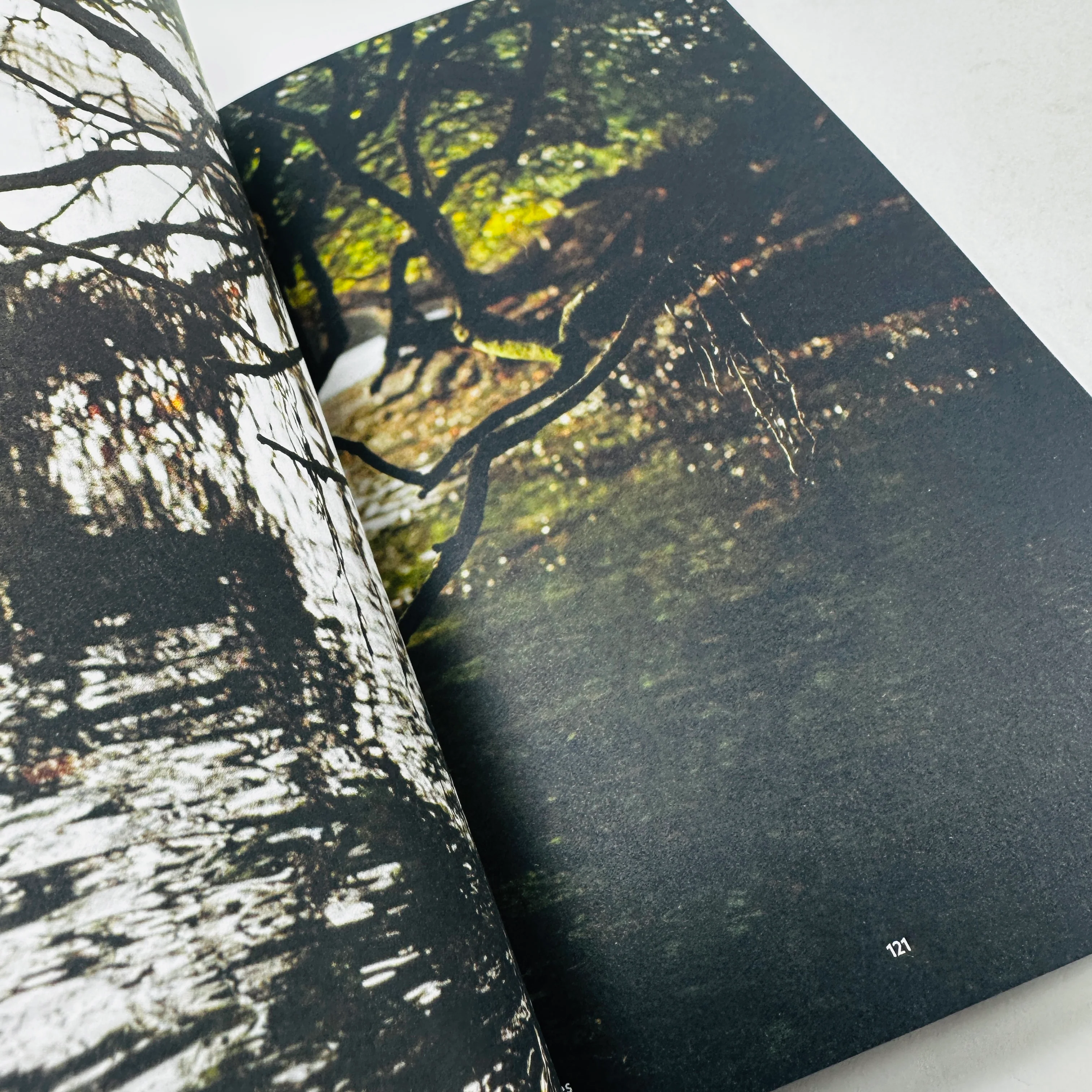 New Mountain #3 - Stories of the Outdoor Kind - Image 4