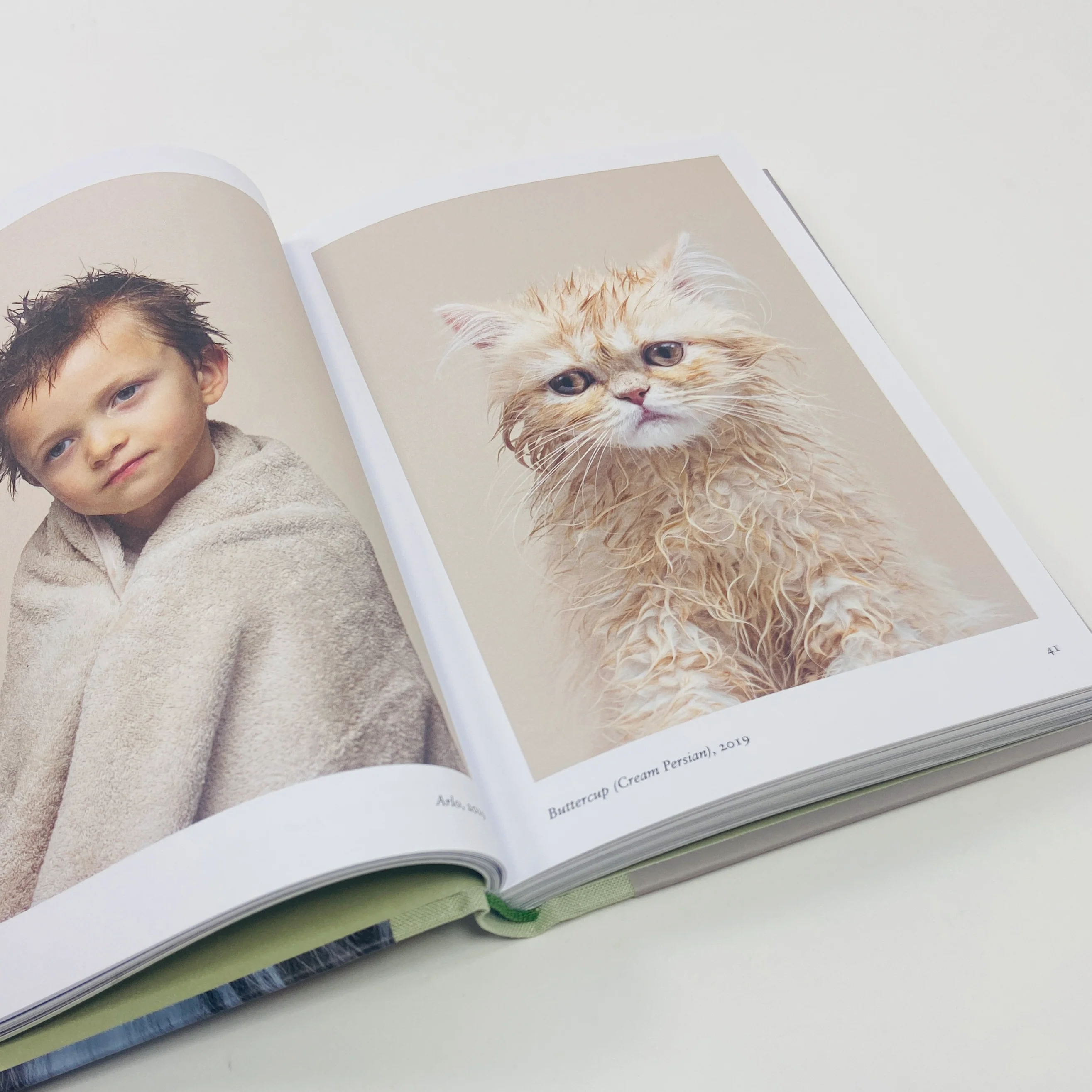 New Photography of the Cat - Image 7
