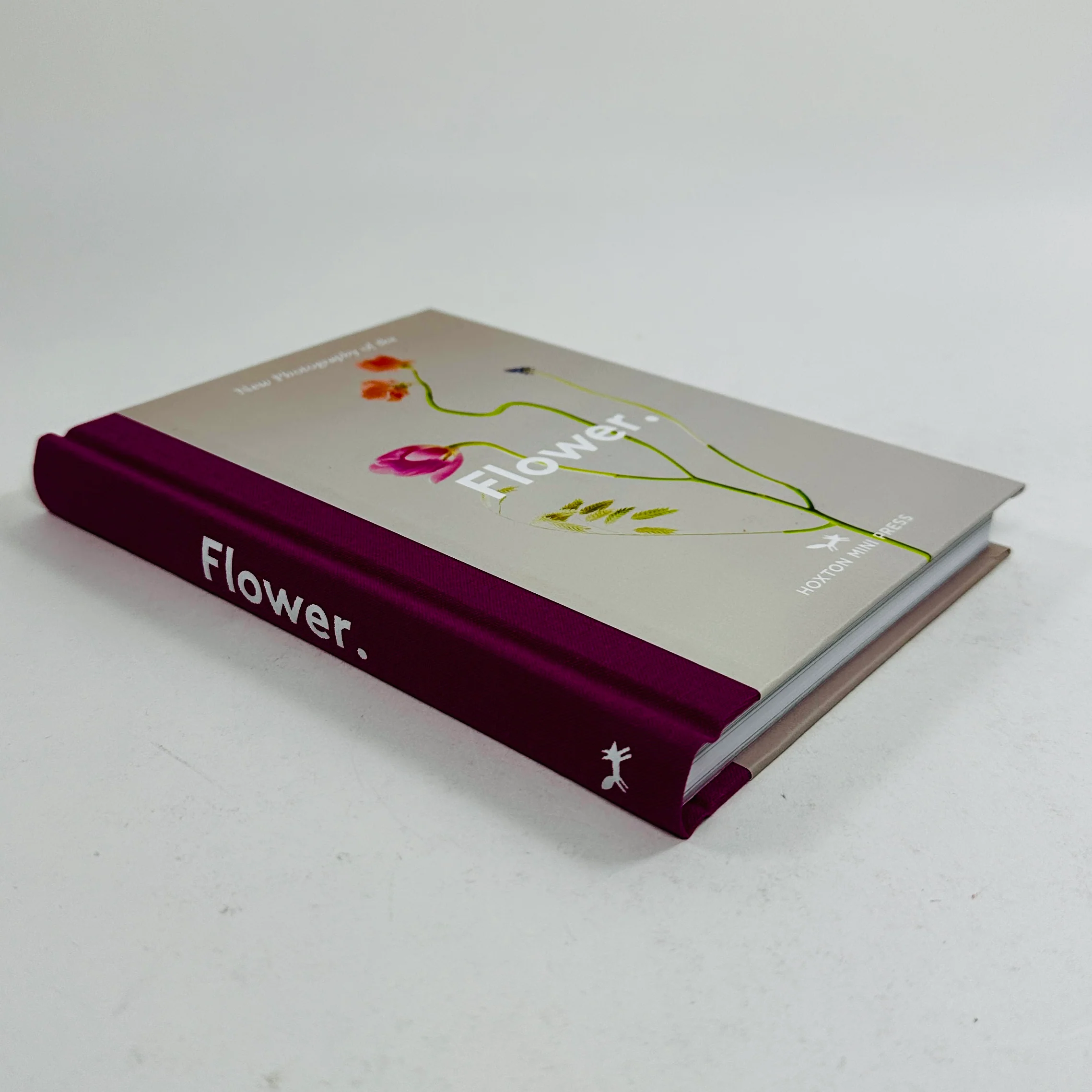 New Photography of the Flower - Image 2
