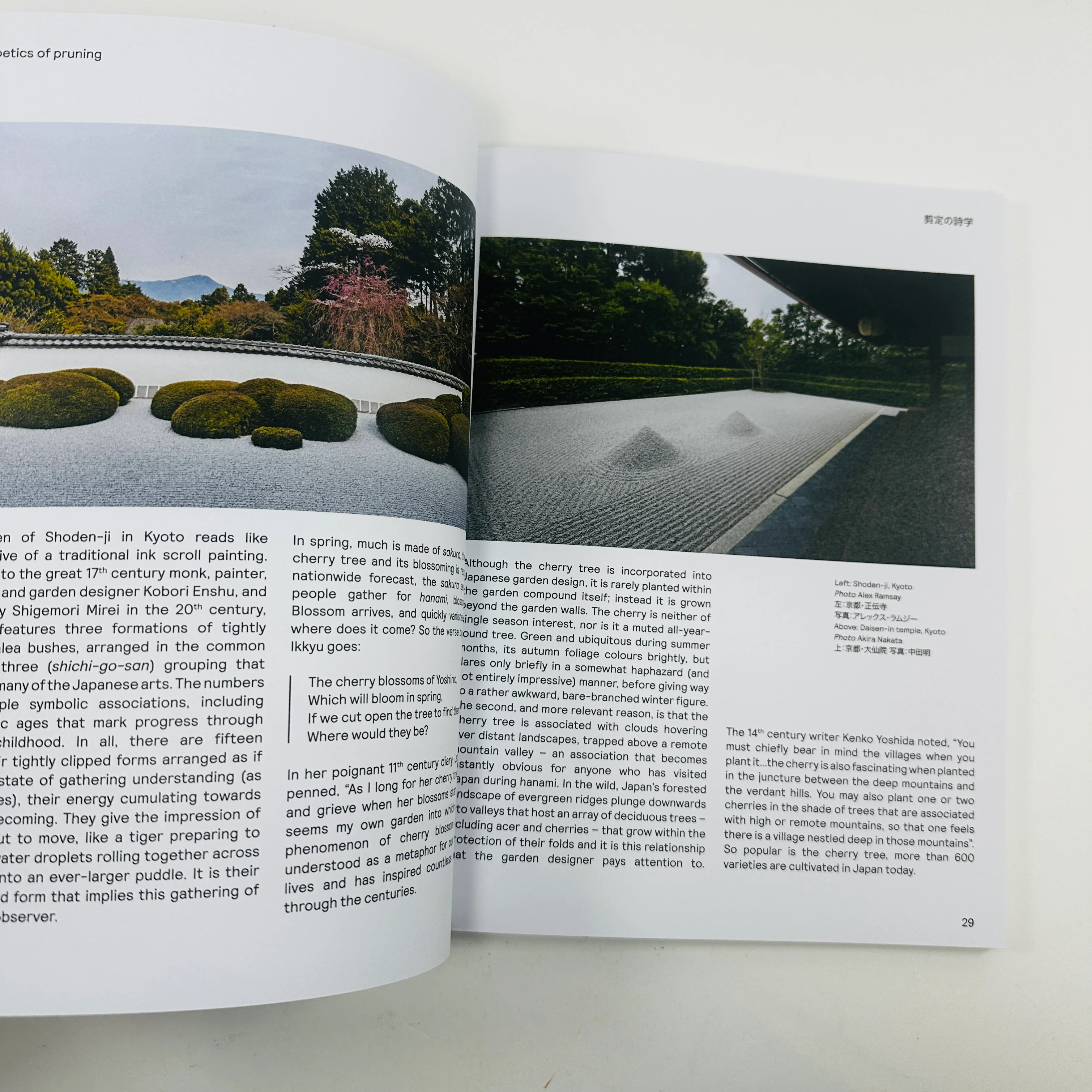 Niwaki Field Report #2 - Image 4