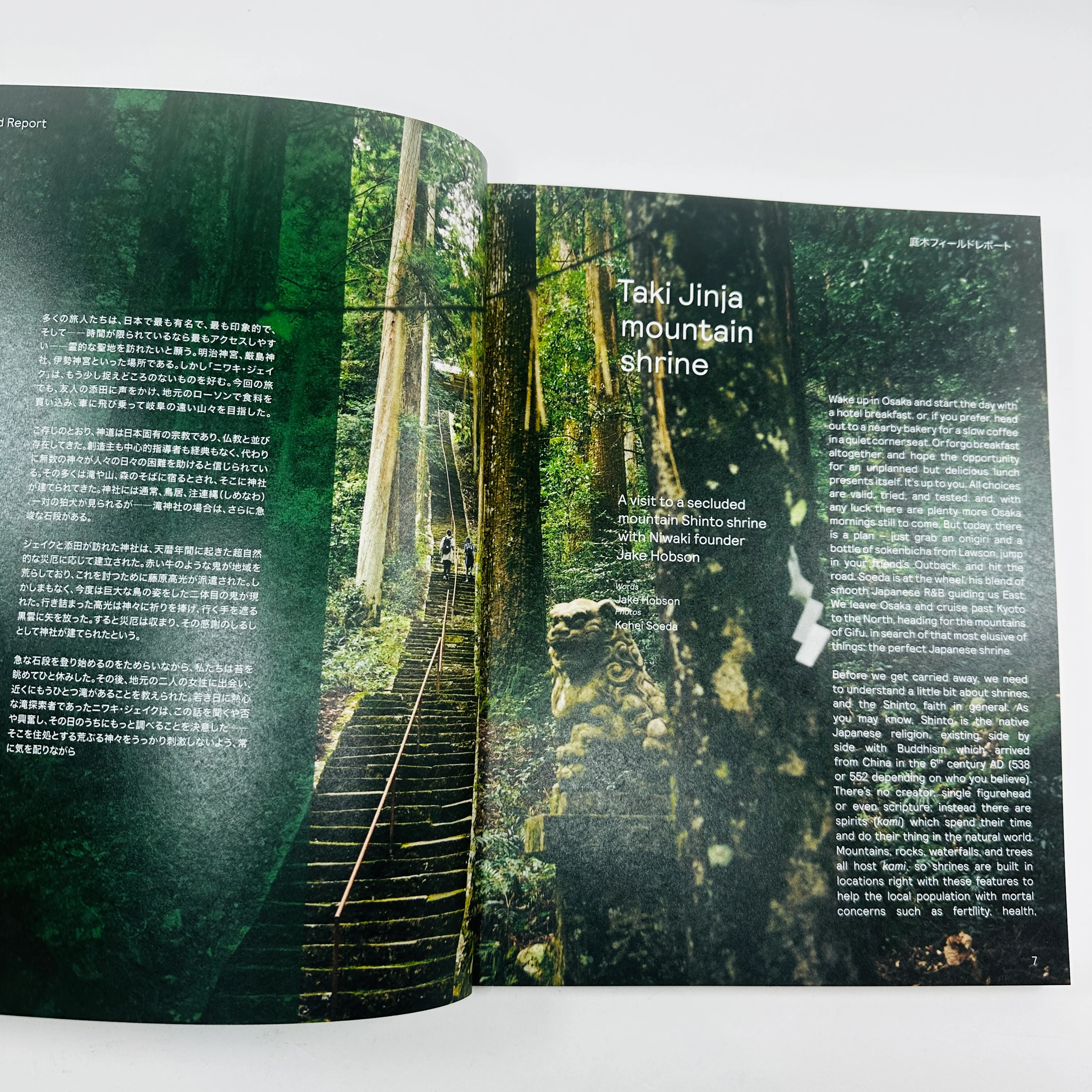 Niwaki Field Report #2 - Image 5