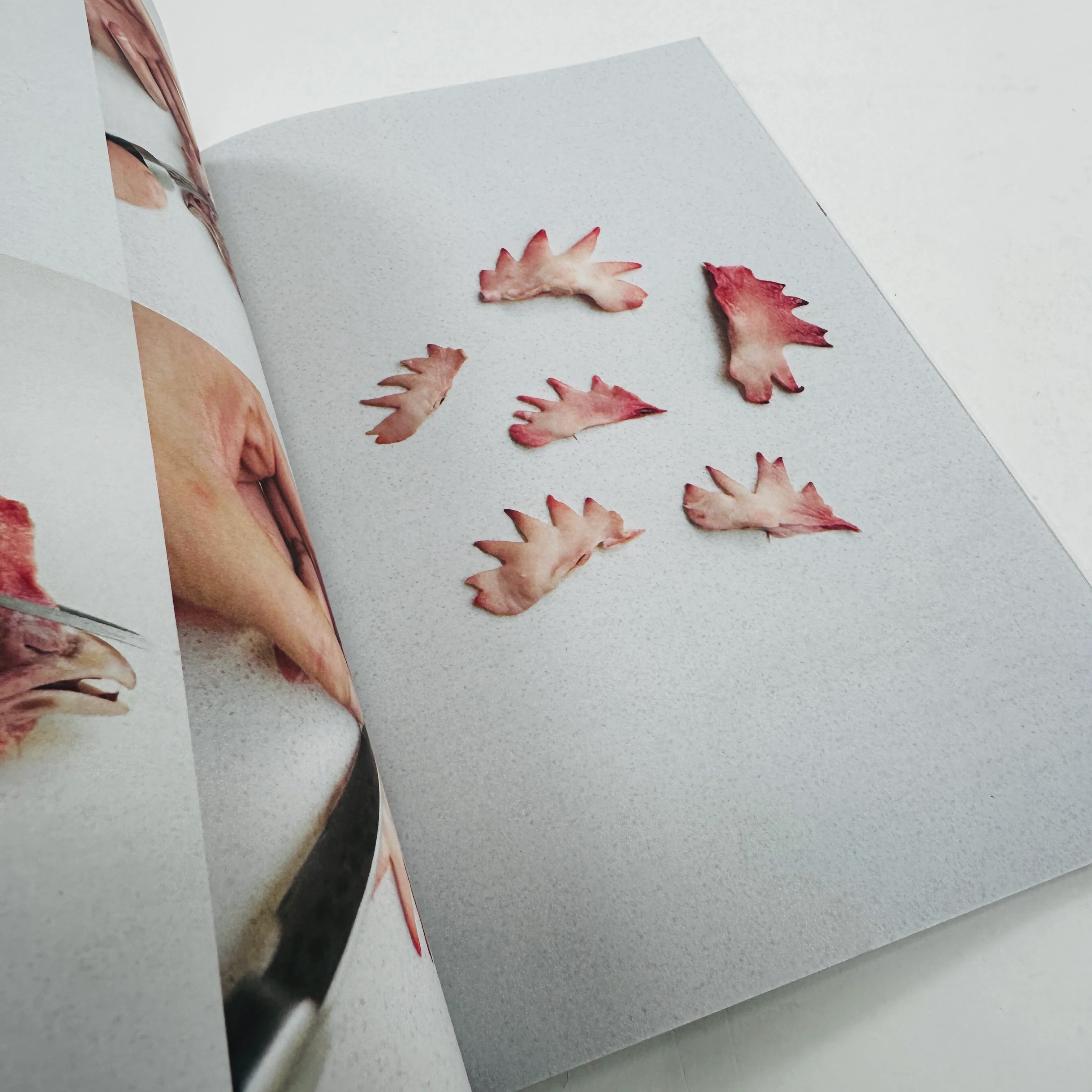 Offcuts - Head - Image 3