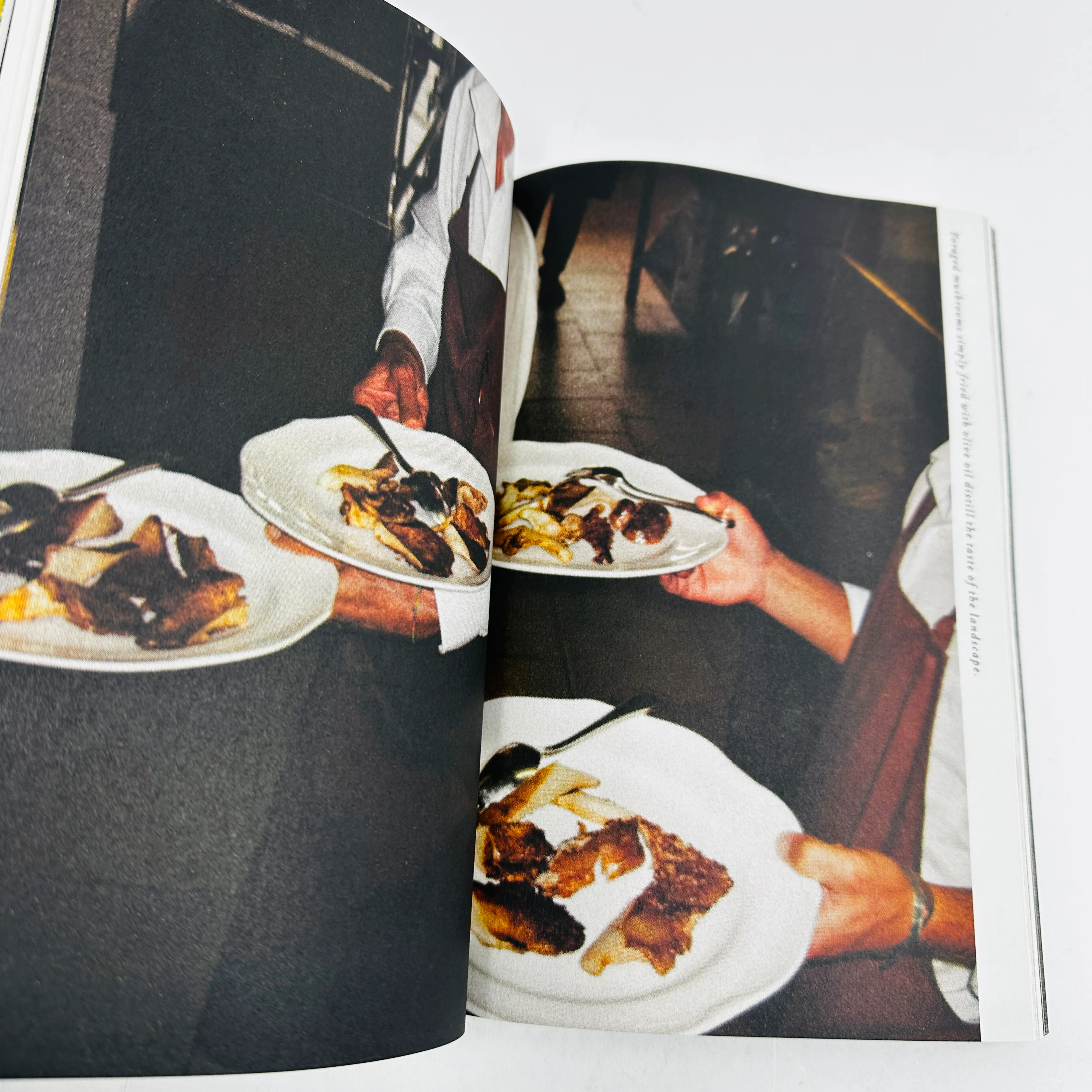 Olive Oil - Image 4