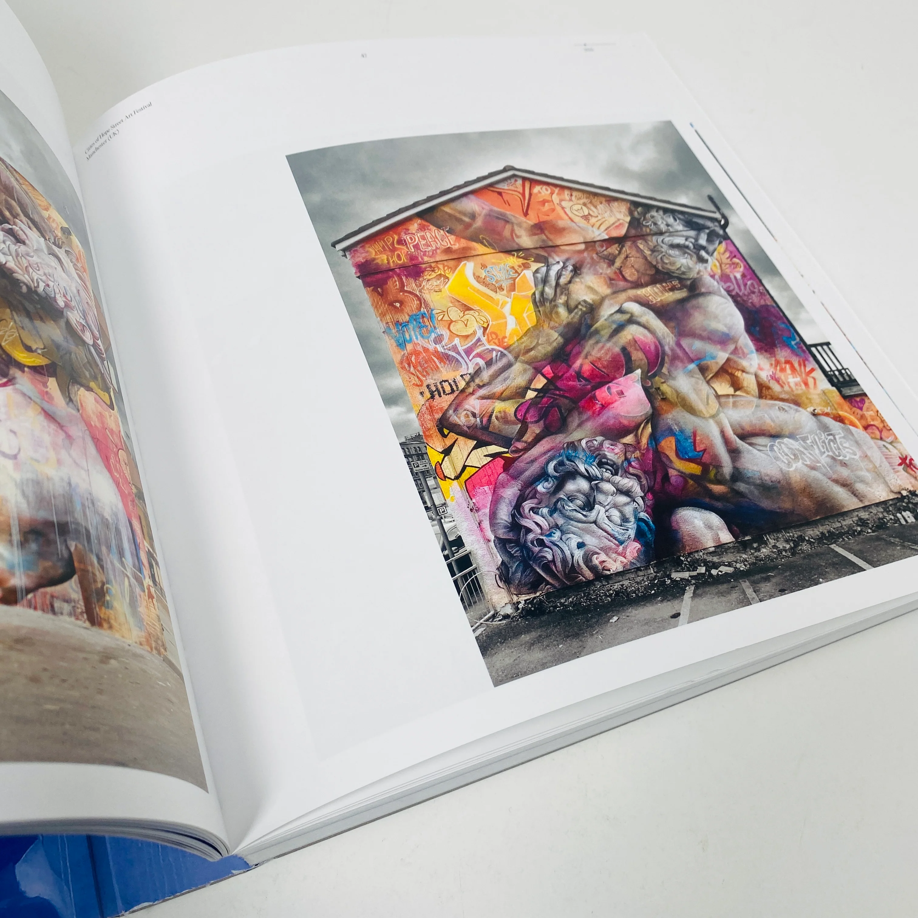 Our Odyssey - A Selective Catalogue of Works by PichiAvo - Image 7