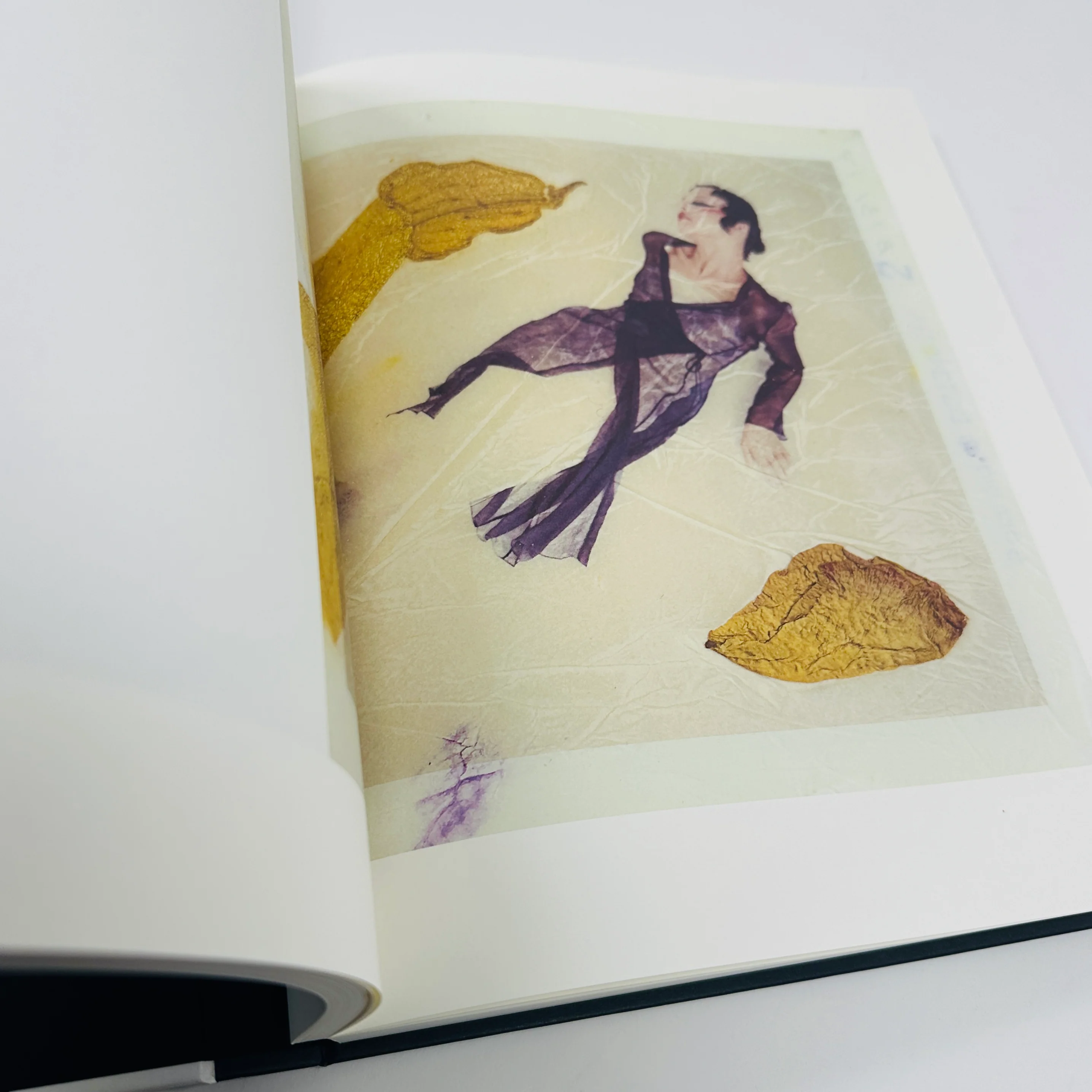 Paolo Roversi - Image 3