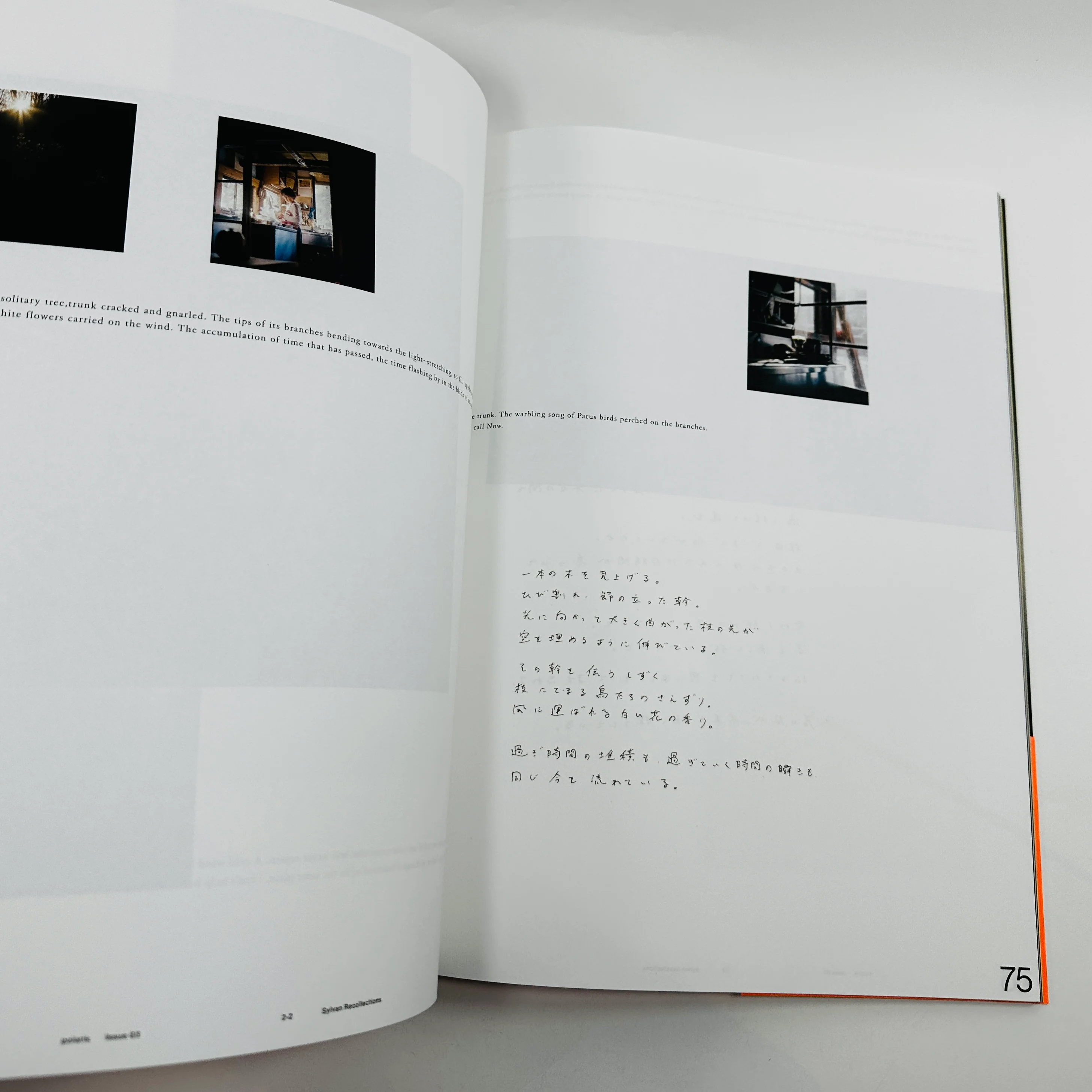 Polaris #3 - Image 5