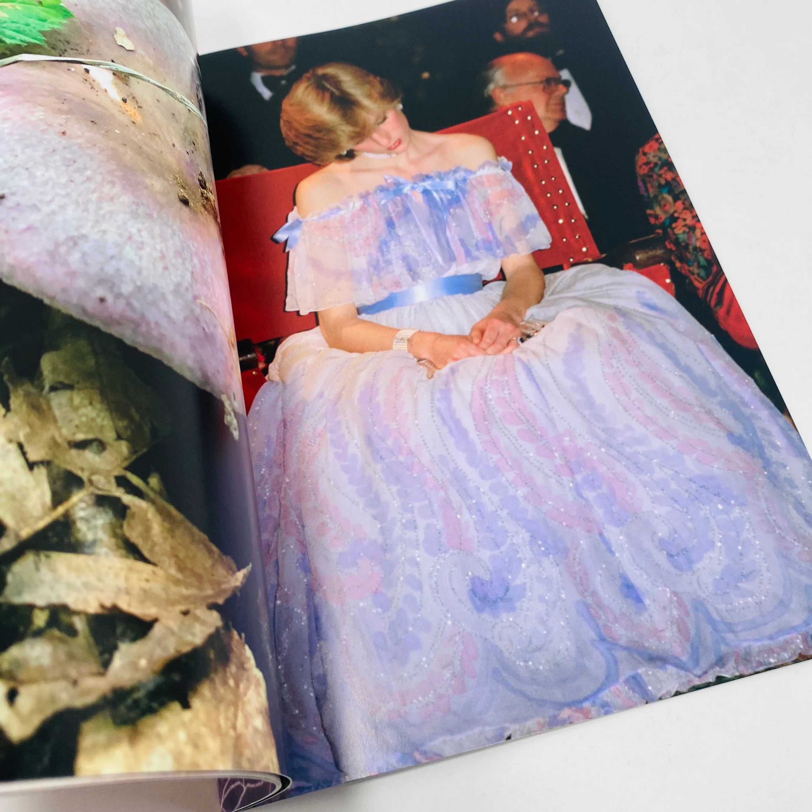 Princess Diana as Mushrooms #2 - Image 3