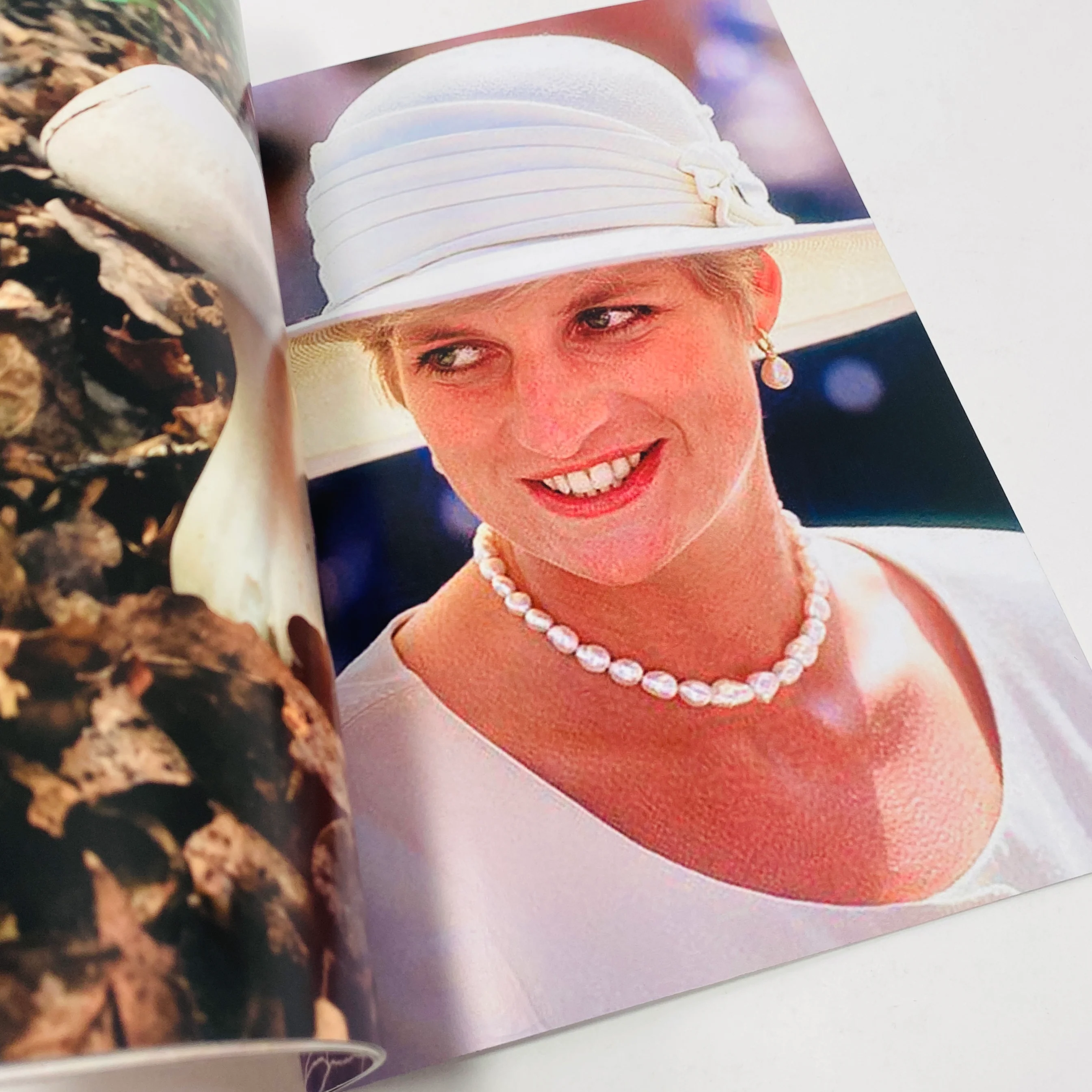 Princess Diana as Mushrooms #2 - Image 4