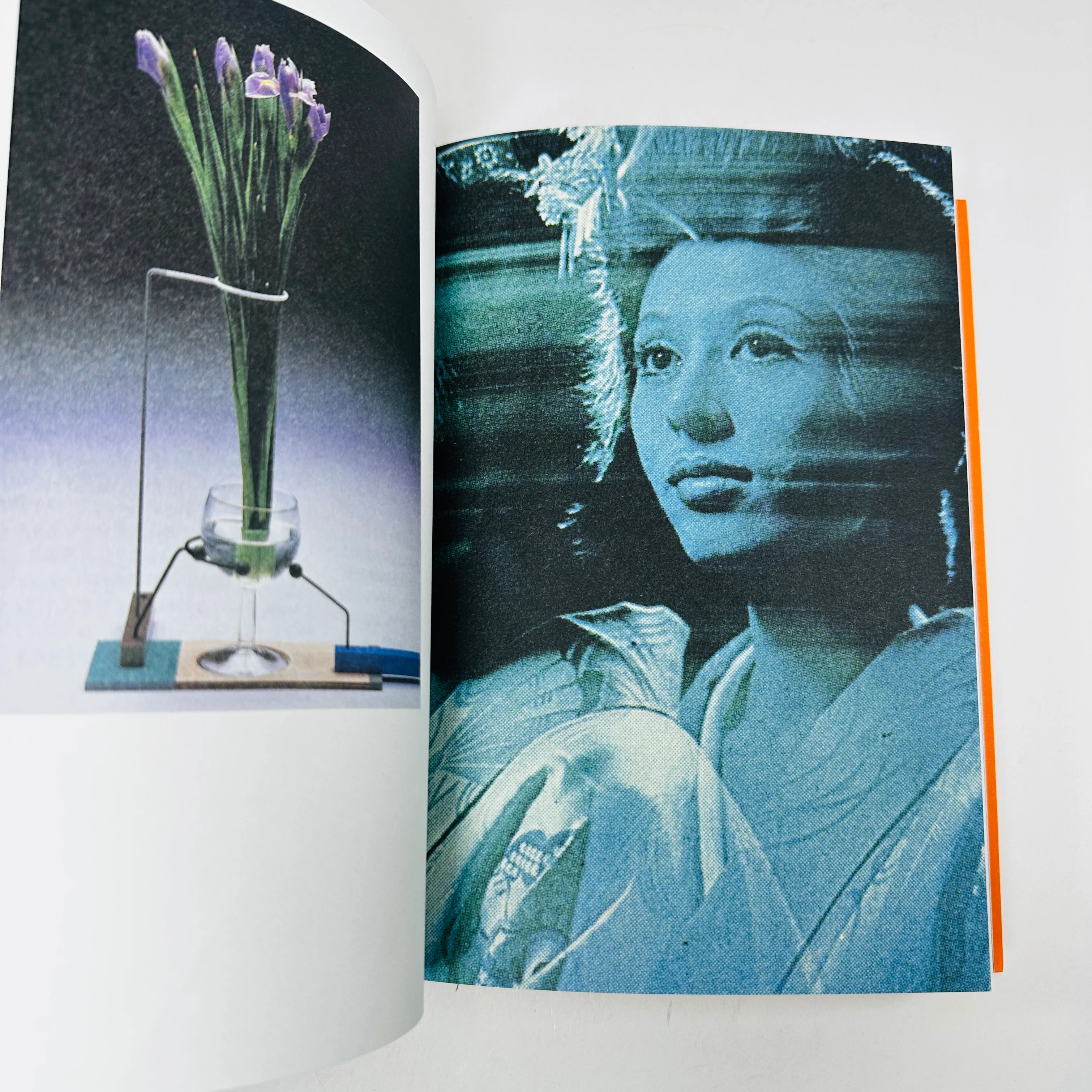 Radical Media Archive Vol #1/7 - An Anthology of Counterculture and Political Graphic Design - Image 5