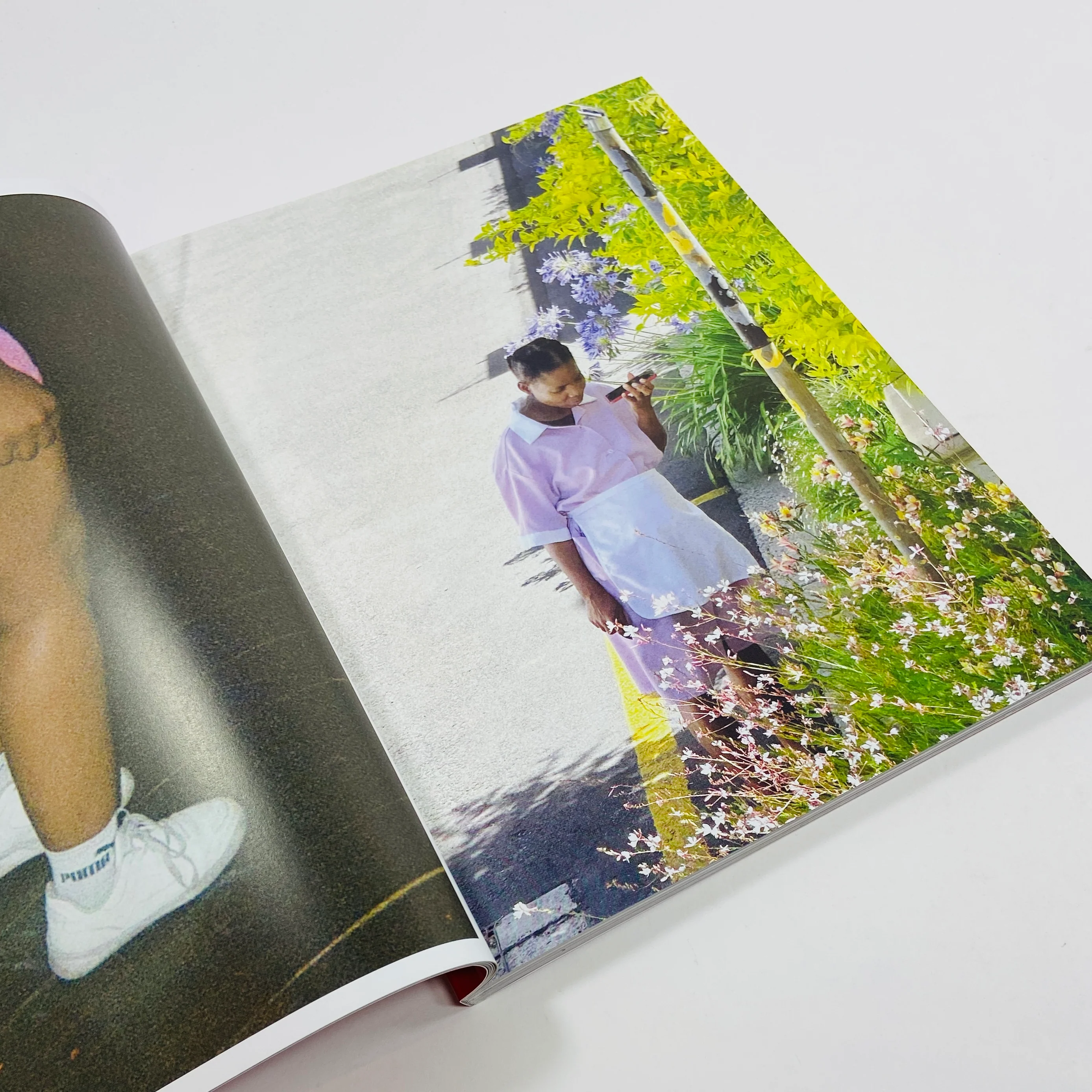Random Photo Journal #4 - Image 6