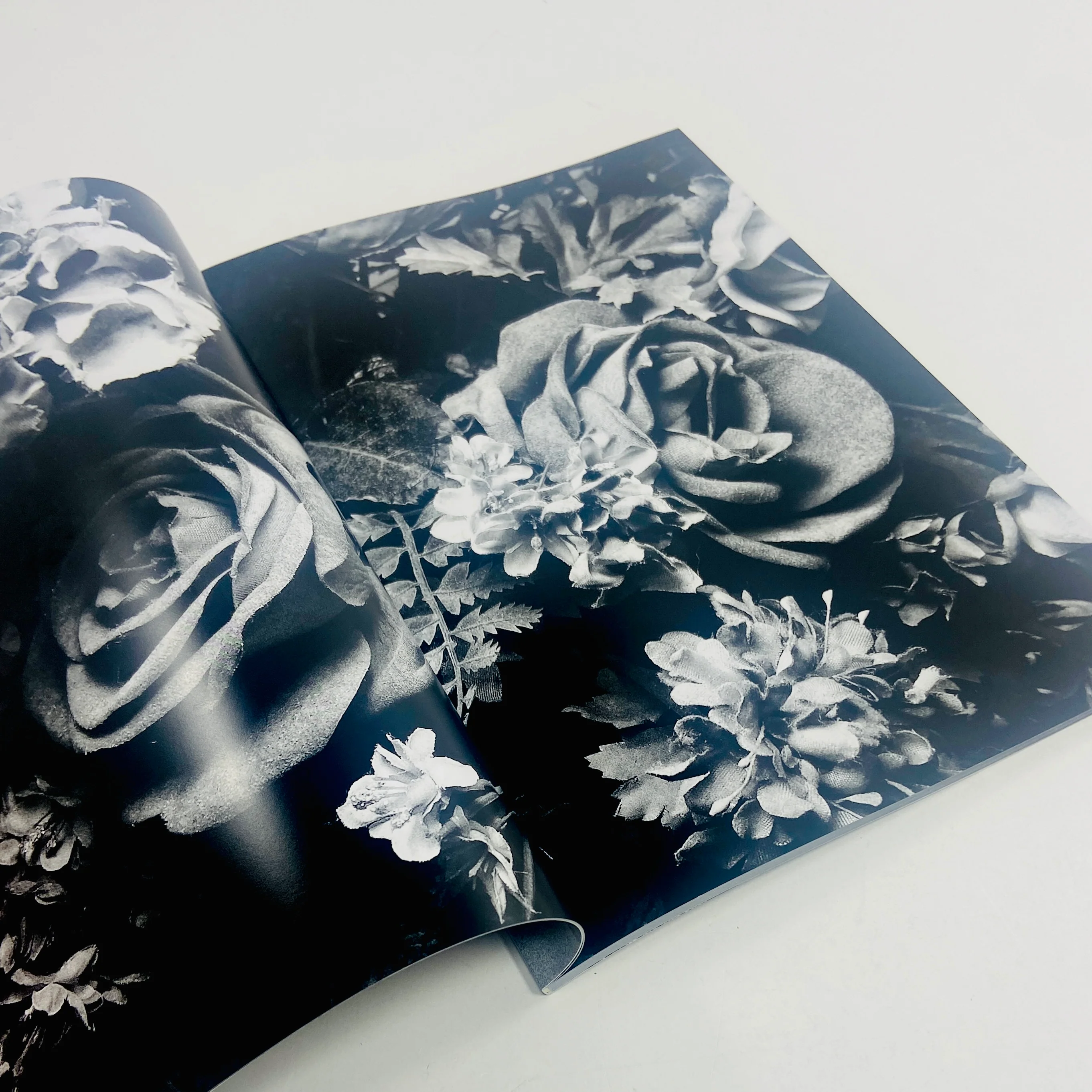 Record 59 - Daido Moriyama - Image 3