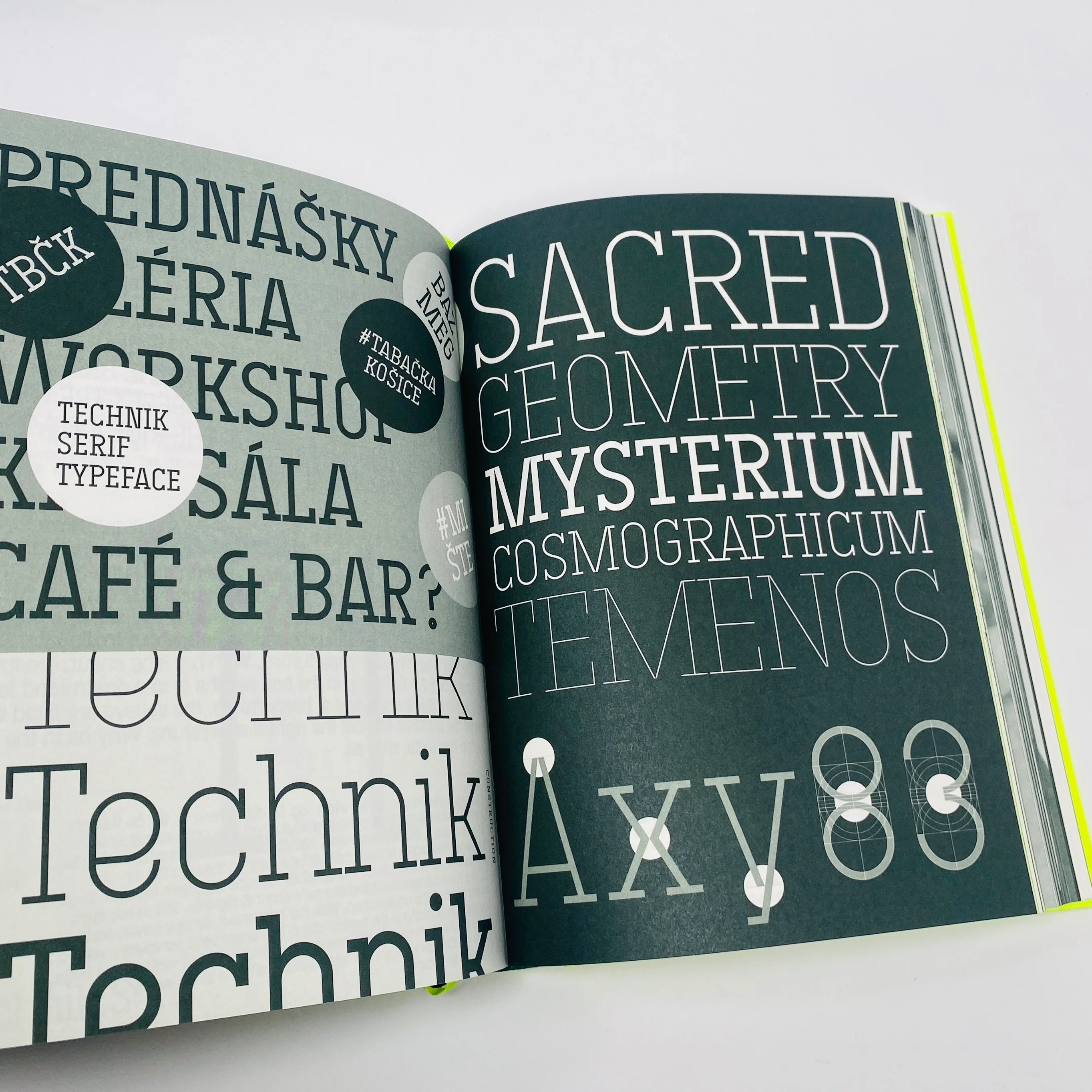 Serif in Use - A Collection of Serif Typefaces - Image 4