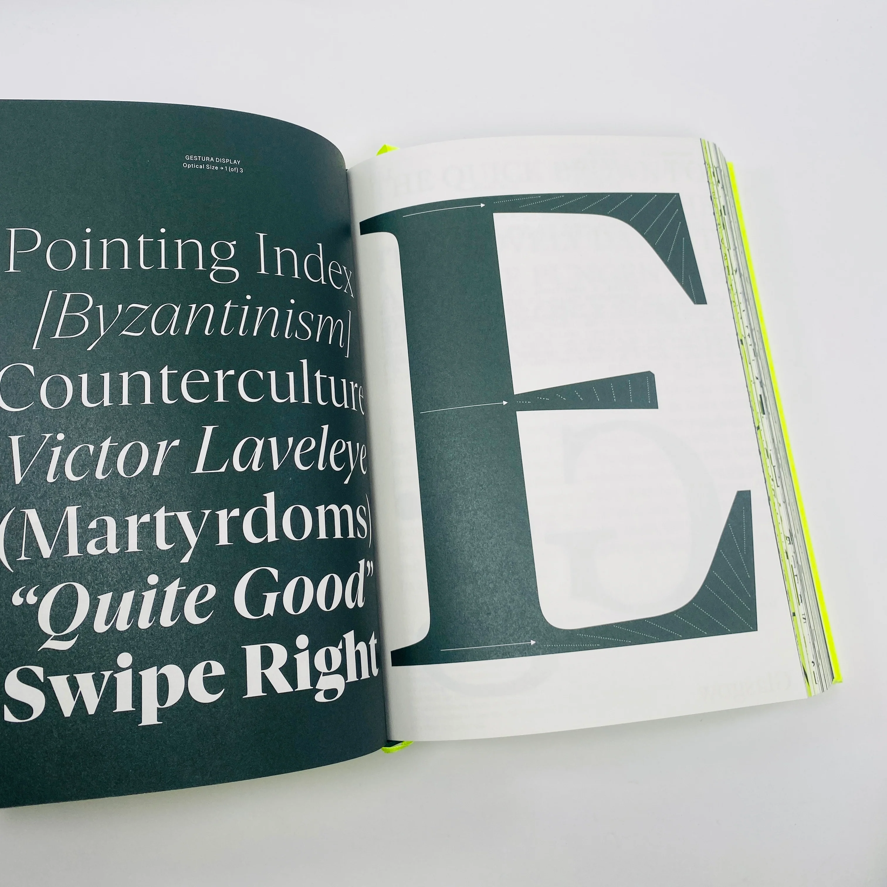Serif in Use - A Collection of Serif Typefaces - Image 6