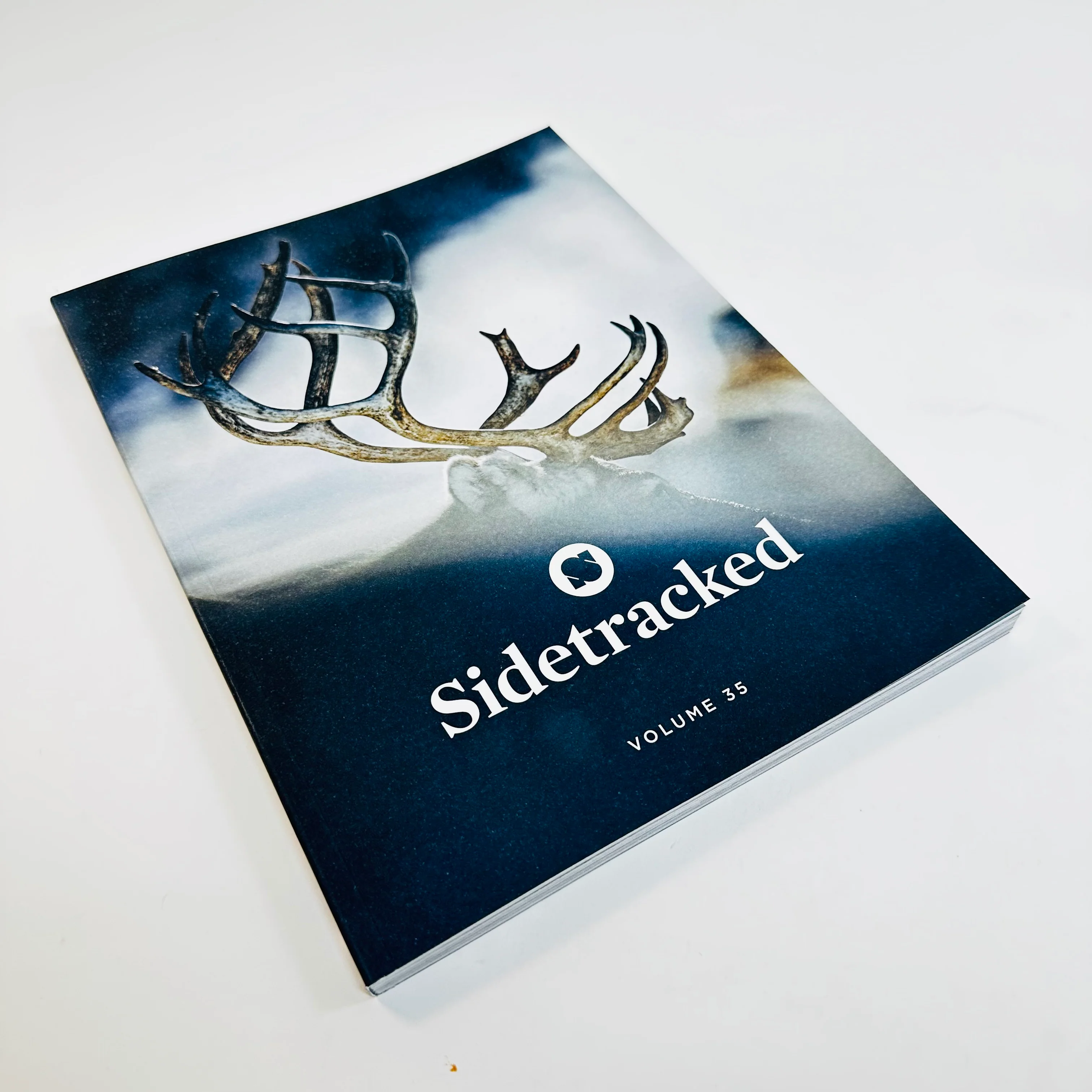 Sidetracked #35 - Image 2