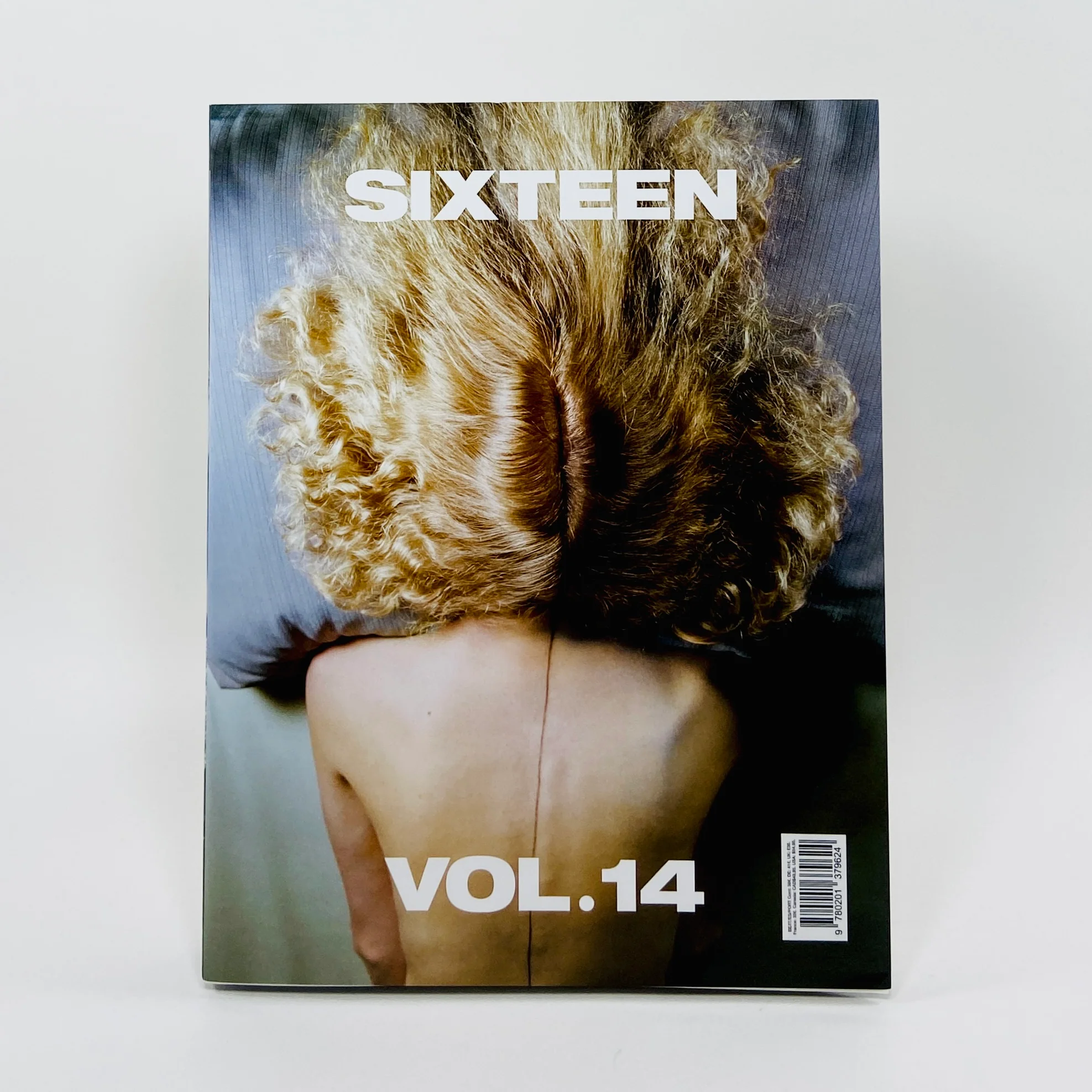 Sixteen #14 - The Photographic Gesture