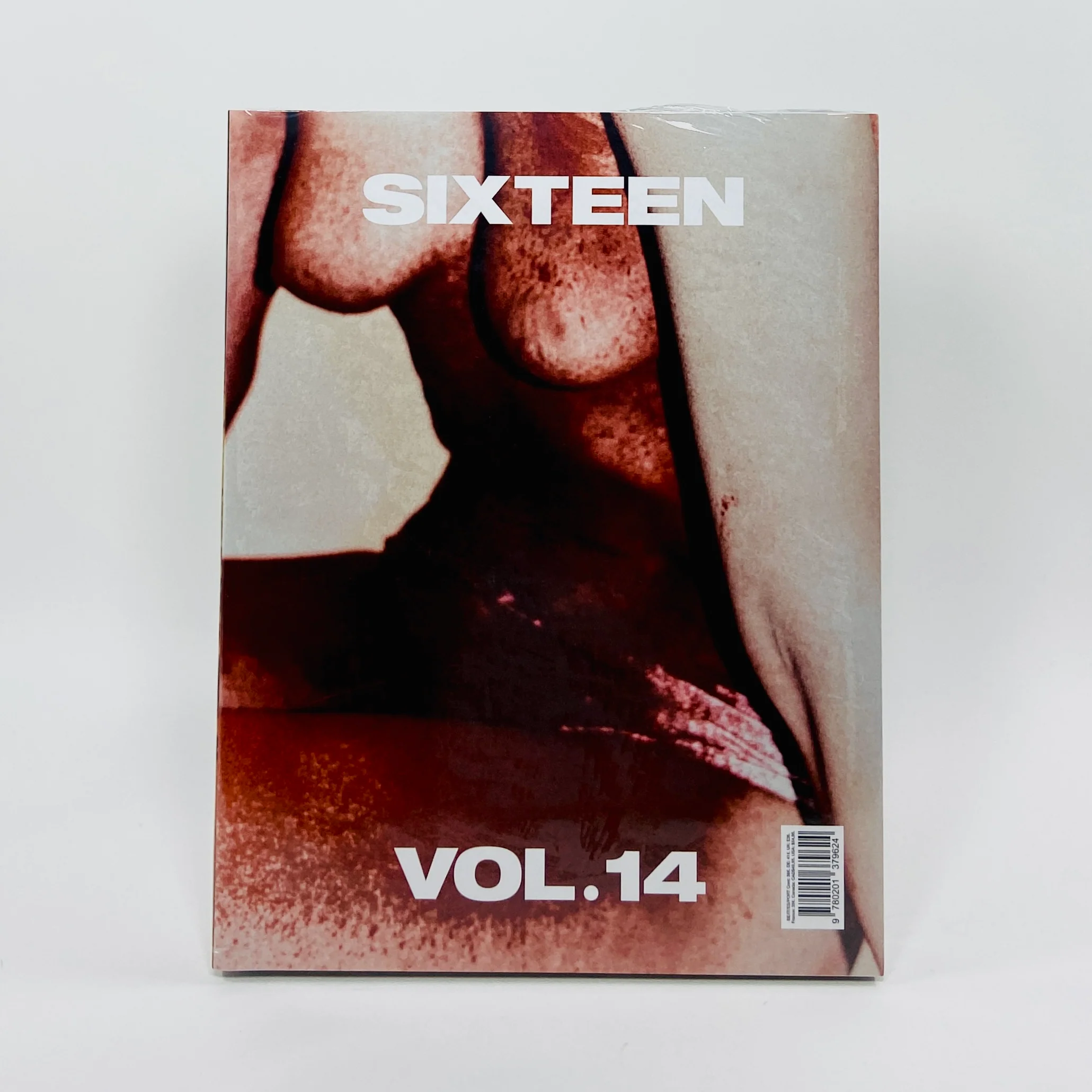 Sixteen #14 - The Photographic Gesture - Image 2