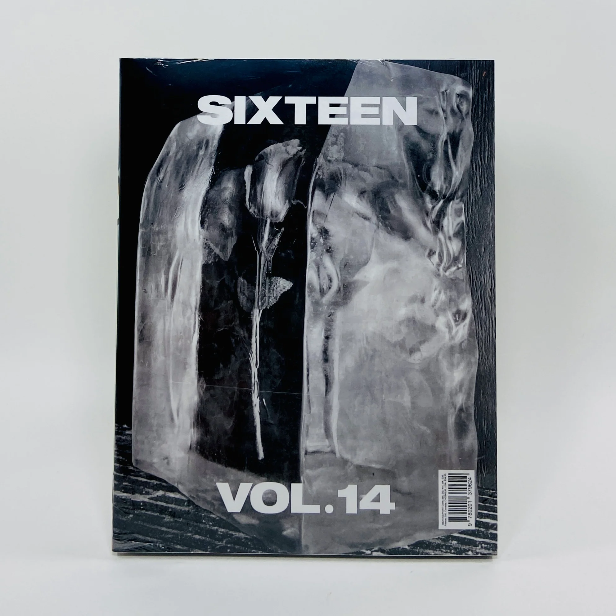 Sixteen #14 - The Photographic Gesture - Image 4